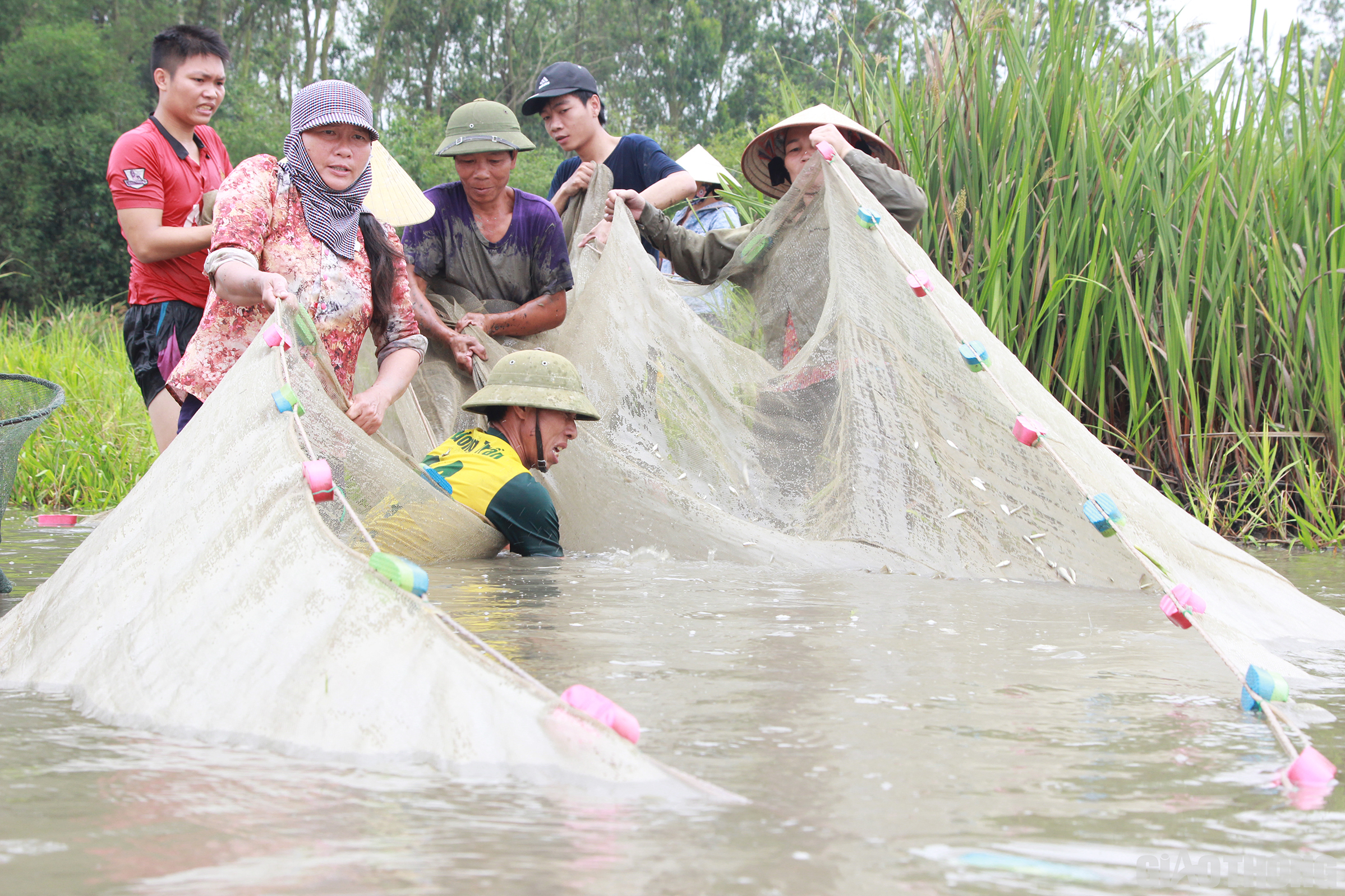 Đ&acirc;y l&agrave; một lễ hội mang đậm bản sắc d&acirc;n gian độc đ&aacute;o, kh&ocirc;ng những n&acirc;ng cao t&igrave;nh đo&agrave;n kết, gắn b&oacute; trong cộng đồng d&acirc;n cư m&agrave; c&ograve;n mang tư tưởng khuyến n&ocirc;ng khuyến ngư trong ph&aacute;t triển n&ocirc;ng nghiệp n&ocirc;ng th&ocirc;n n&ecirc;n cần được bảo tồn v&agrave; ph&aacute;t huy.