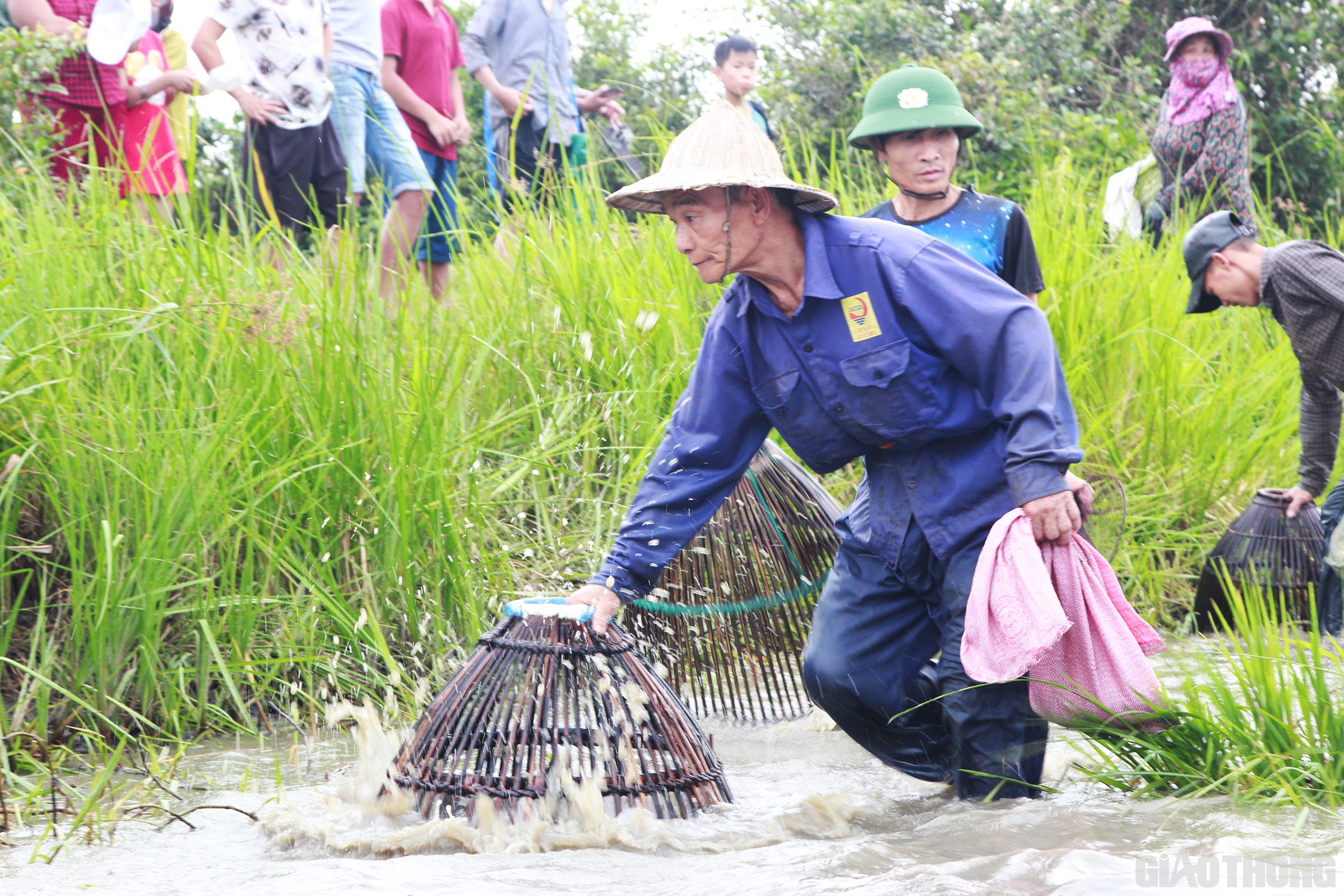 Rất nhiều người gi&agrave; đ&atilde; lớn tuổi nhưng cũng mang theo nơm xuống đầm thể hiện kinh nghiệm trong việc bắt c&aacute; của bản th&acirc;n m&igrave;nh