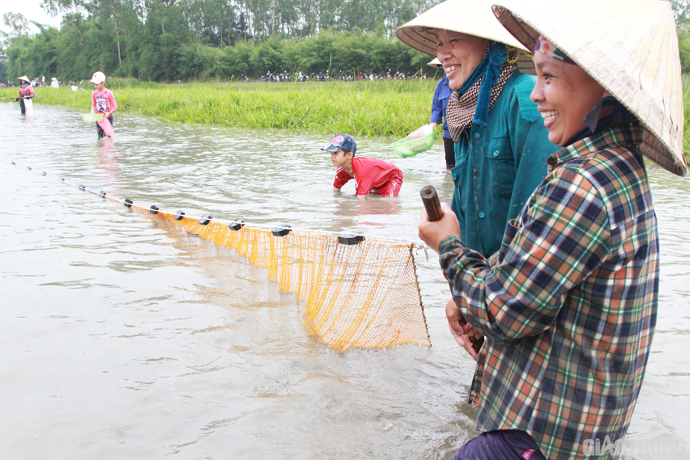 Để đ&aacute;nh bắt được c&aacute;, người d&acirc;n phải dầm m&igrave;nh dưới nước một thời gian l&acirc;u tr&ecirc;n c&aacute;i nắng như đổ lửa của miền Trung. Việc đ&aacute;nh bắt tuy vất vả nhưng ai cũng h&aacute;o hức