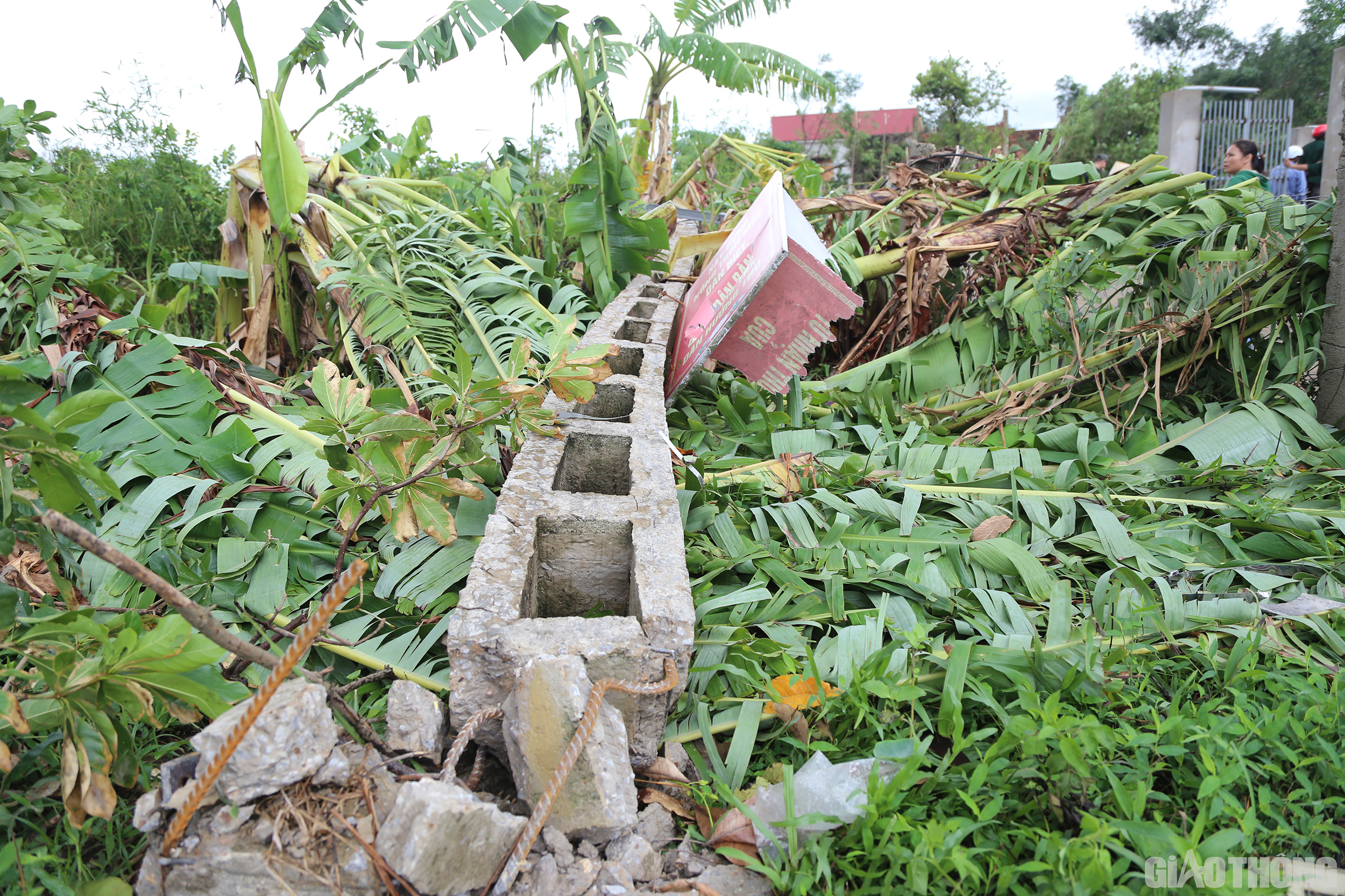 Ngo&agrave;i ra, nhiều cột điện, c&acirc;y trồng cũng bị lốc xo&aacute;y l&agrave;m đổ g&atilde;y.