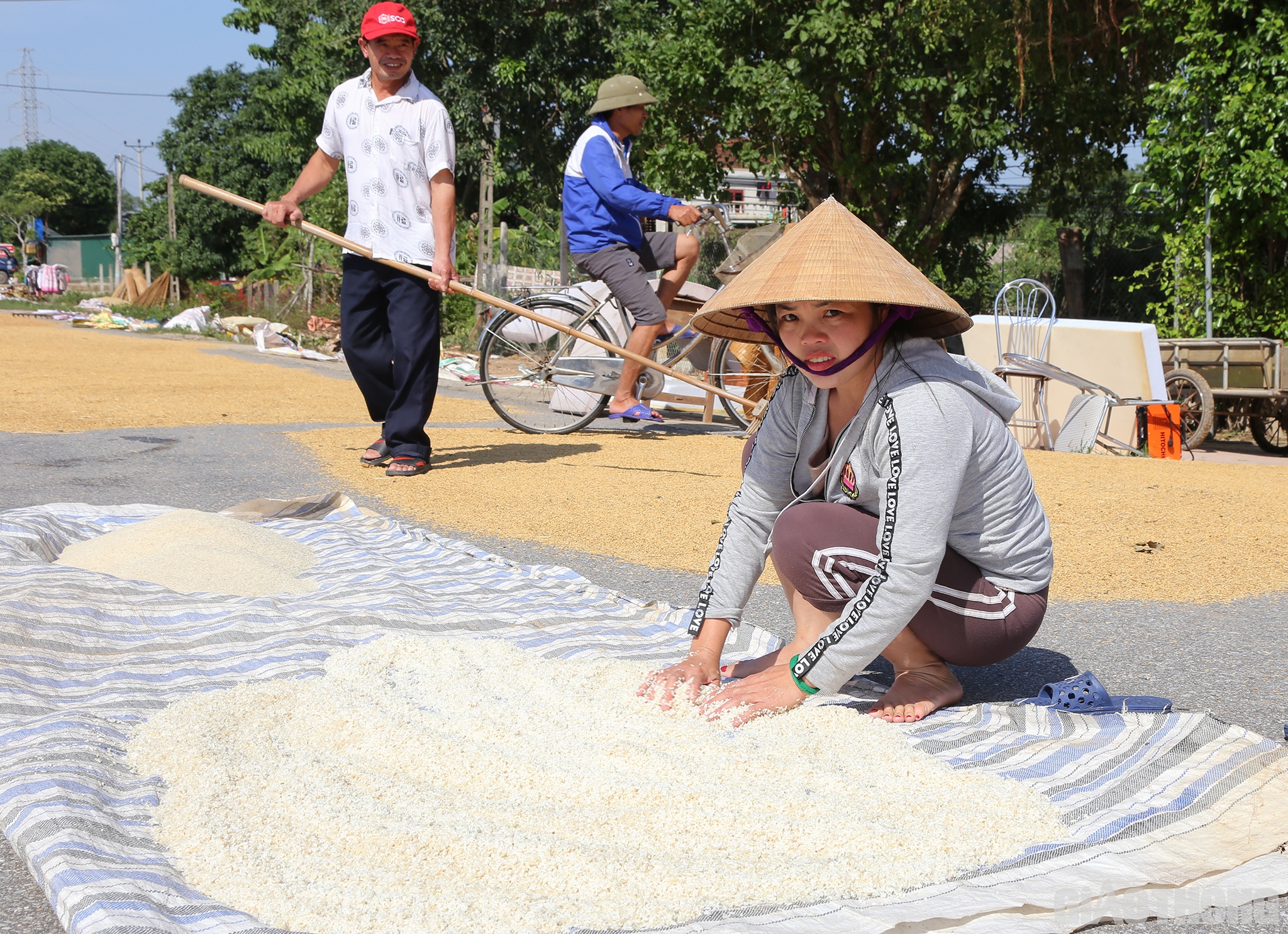 Kh&ocirc;ng chỉ l&uacute;a, gạo để d&ugrave;ng cho bữa ăn h&agrave;ng ng&agrave;y của người d&acirc;n rốn lũ cũng bị ng&acirc;m nước lũ nhiều ng&agrave;y hư hỏng.