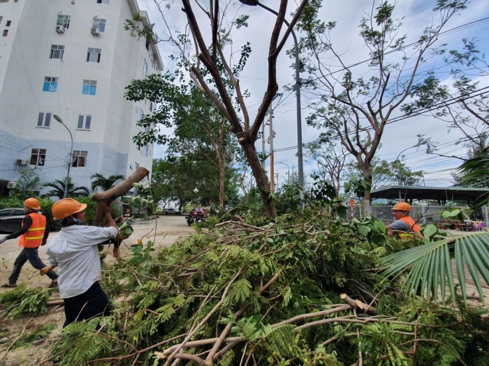 Tin b&atilde;o số 9 ng&agrave;y 27/10 - 2