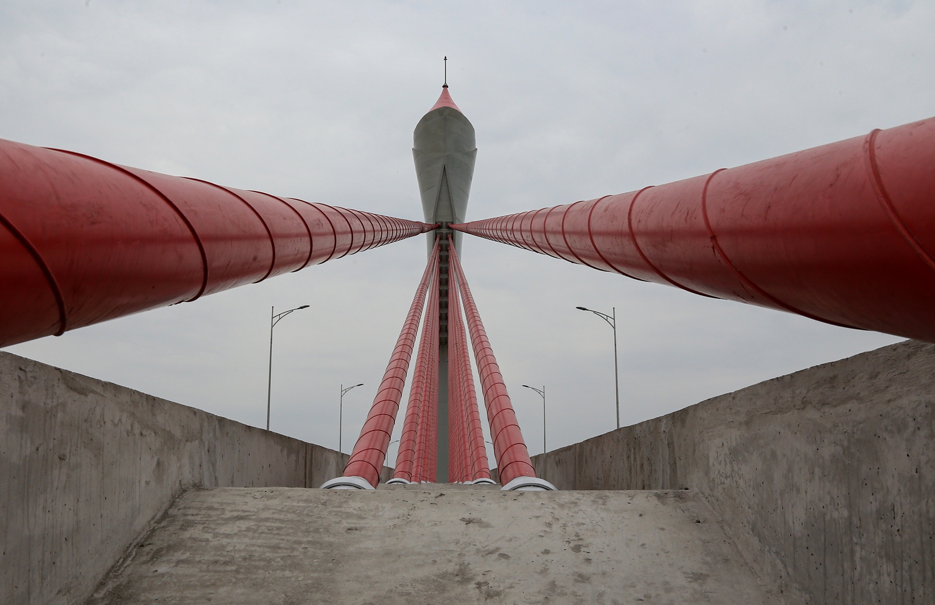 Hệ thống d&acirc;y văng ở hai nhịp ch&iacute;nh