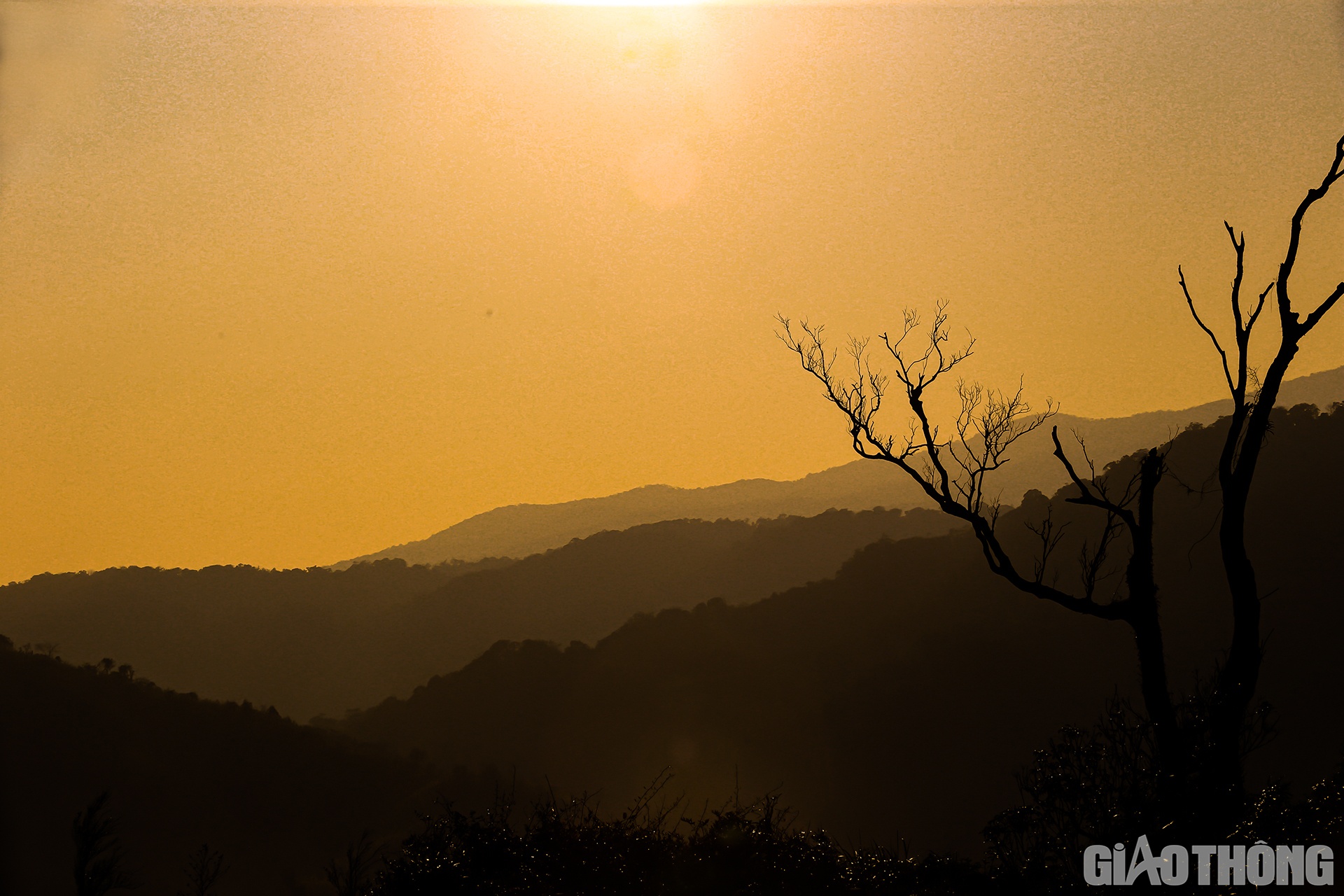 Cửa khẩu Quốc tế Cầu Treo l&agrave; một trong những cửa khẩu rất nhộn nhịp ở khu vực miền Trung. Nơi đ&acirc;y l&agrave; cửa ng&otilde; để từ Việt Nam qua L&agrave;o v&agrave; Th&aacute;i Lan rất thuận tiện. Tuy nhi&ecirc;n, hiện tại ở khu vực hai b&ecirc;n cửa khẩu c&oacute; rất nhiều lối m&ograve;n để kẻ xấu lợi dụng đưa người từ nước ngo&agrave;i vượt bi&ecirc;n v&agrave;o nước ta tr&aacute;i ph&eacute;p. Để đảm bảo kh&ocirc;ng c&oacute; người n&agrave;o nhập cảnh tr&aacute;i ph&eacute;p, Bi&ecirc;n ph&ograve;ng H&agrave; Tĩnh đ&atilde; lập 2 chốt hai b&ecirc;n c&aacute;nh g&agrave; v&agrave; 2 chốt dọc QL8A