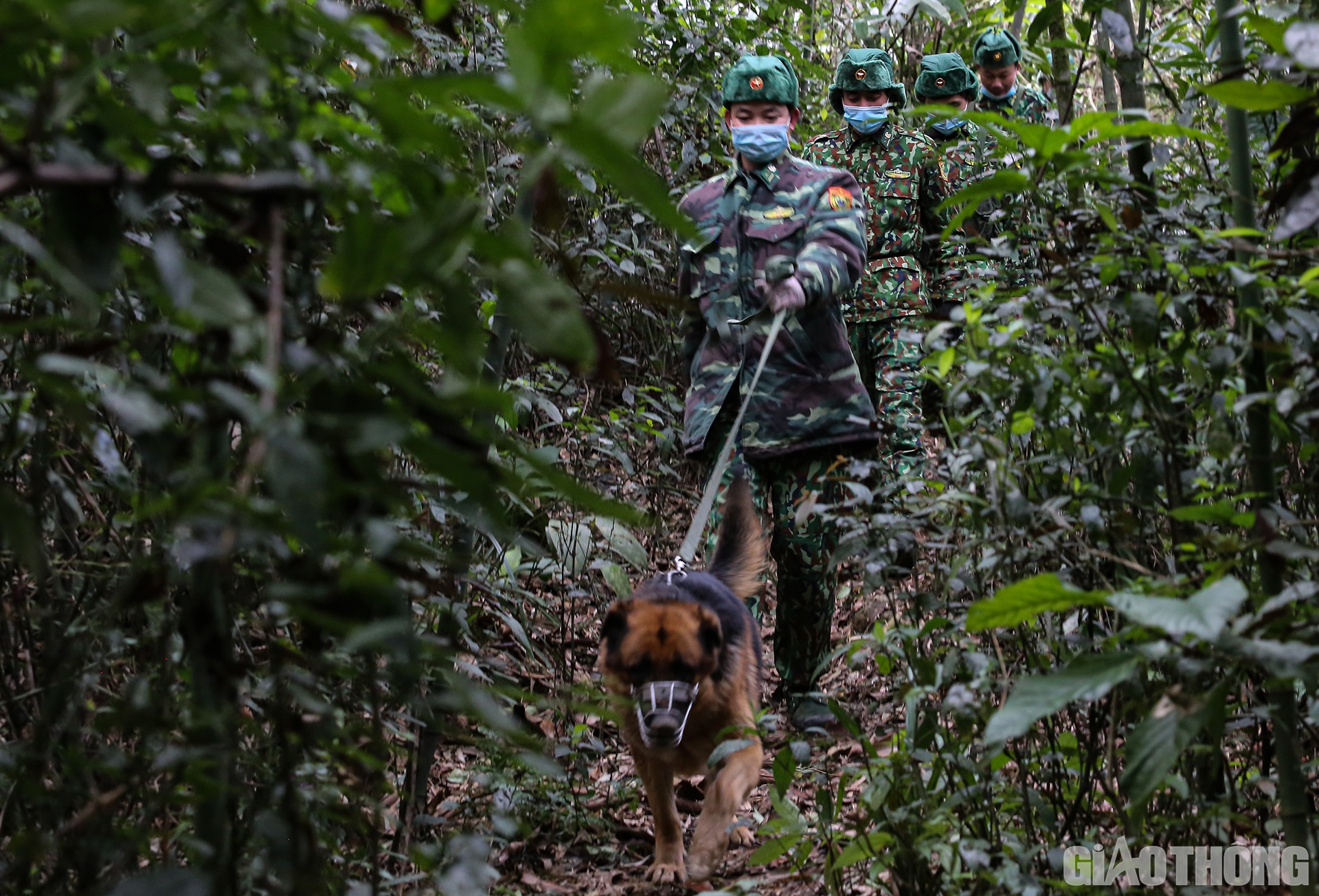 Đ&uacute;ng 7h15 s&aacute;ng 13/1, tổ tuần tra đầu ti&ecirc;n trong ng&agrave;y bắt đầu l&ecirc;n đường tuần tra tr&ecirc;n c&aacute;c lối m&ograve;n s&aacute;t bi&ecirc;n giới Việt - L&agrave;o
