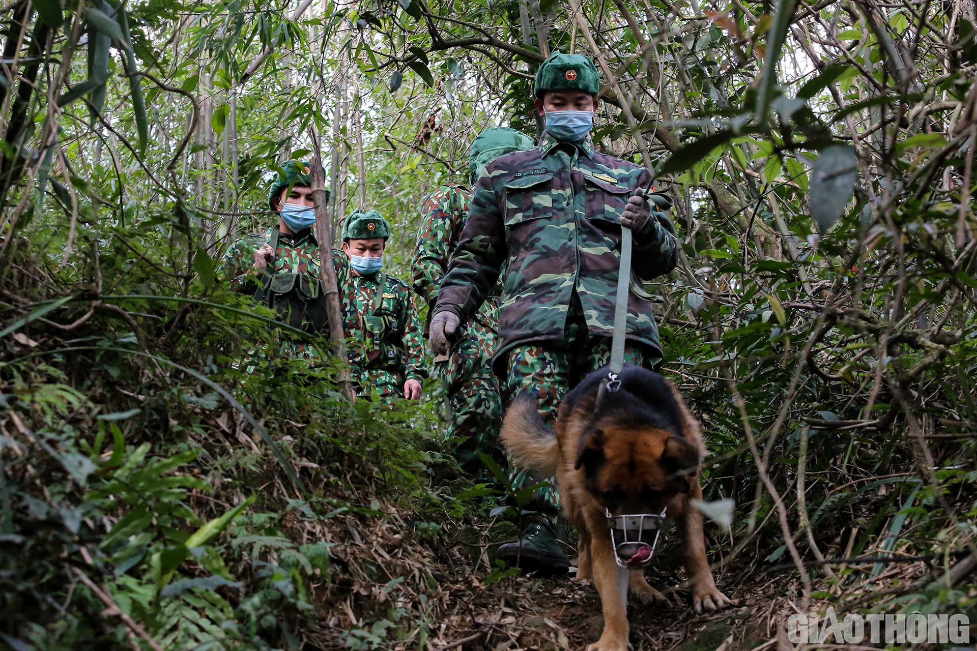... chưa kể, c&oacute; v&ocirc; số dốc cao dựng đứng v&agrave; khe suối.