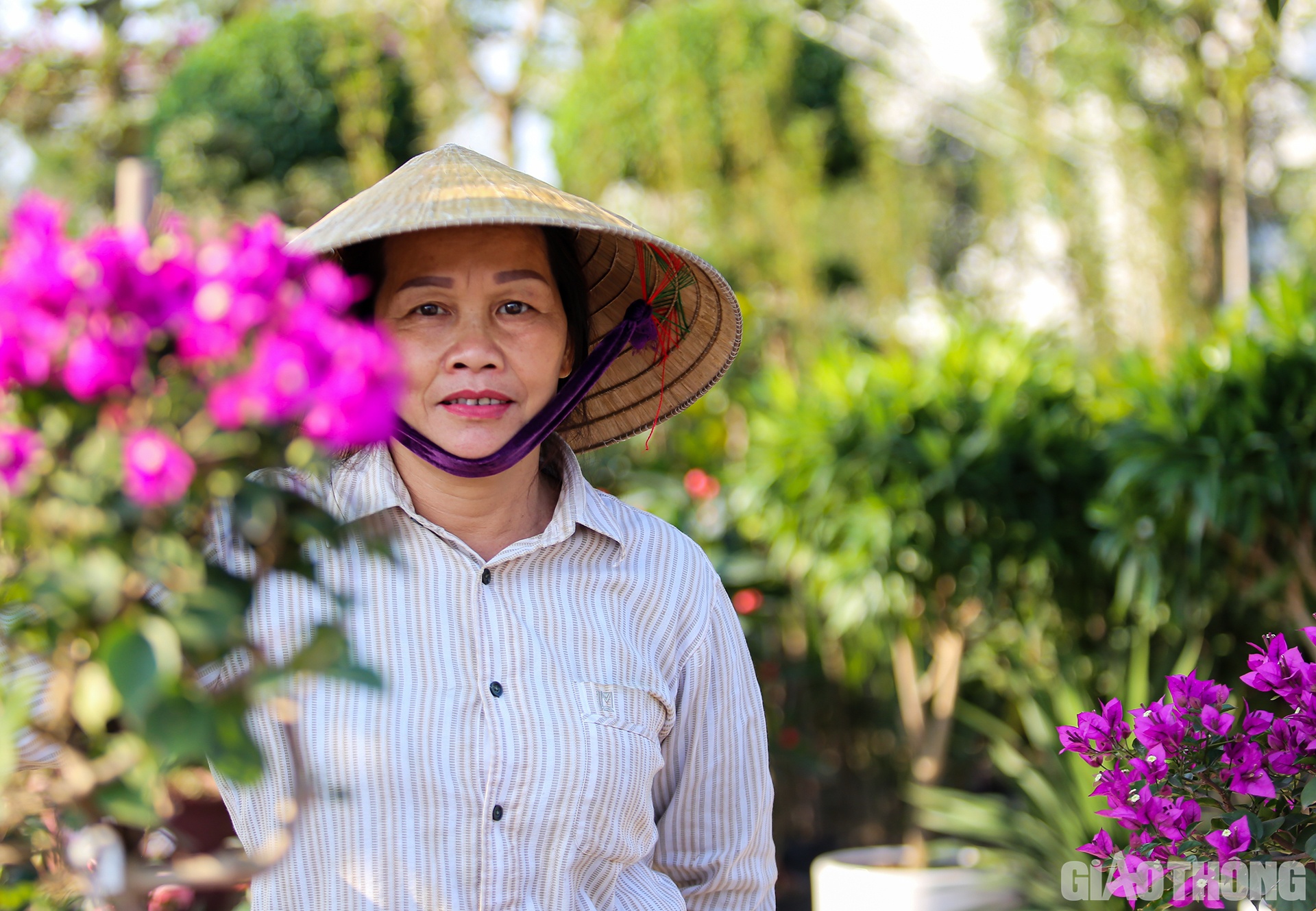 C&aacute;ch đ&oacute; kh&ocirc;ng xa, vườn hoa Sinh Thuận của gia đ&igrave;nh b&agrave; Nguyễn Thị Thuận cũng đa dạng kh&ocirc;ng k&eacute;m. B&agrave; Thuận chia sẻ: Gia đ&igrave;nh b&agrave; l&agrave;m nghề n&agrave;y đ&atilde; được 20 năm, trong vườn c&oacute; đủ c&aacute;c loại, từ c&acirc;y cảnh loại to, c&acirc;y bon sai, cho đến đủ c&aacute;c loại hoa như hồng, trạng nguy&ecirc;n, đồng tiền....