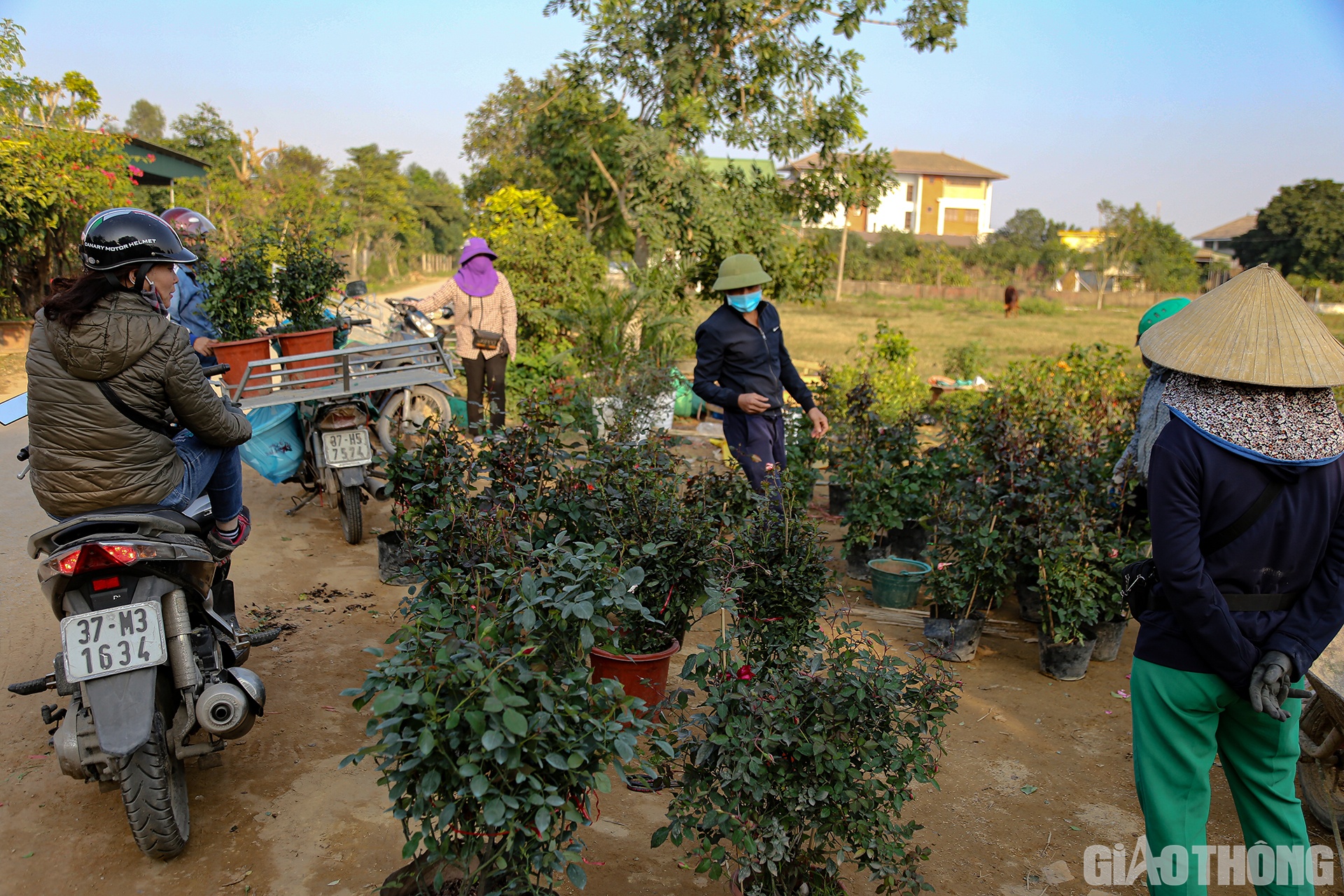 D&ugrave; buổi s&aacute;ng hay buổi chiều cũng c&oacute; rất nhiều thương l&aacute;i t&igrave;m về l&agrave;ng hoa Kim Ph&uacute;c mua sỉ c&aacute;c loại hoa để đem về c&aacute;c v&ugrave;ng kh&aacute;c b&aacute;n lại. Ngo&agrave;i ra, nhiều gia đ&igrave;nh ở TP. Vinh v&agrave; v&ugrave;ng phụ cận cũng đ&atilde; t&igrave;m về l&agrave;ng hoa n&agrave;y để chọn cho m&igrave;nh những giỏ, gốc hoa đẹp nhất phục vụ những ng&agrave;y Tết Nguy&ecirc;n đ&aacute;n sắp tới.