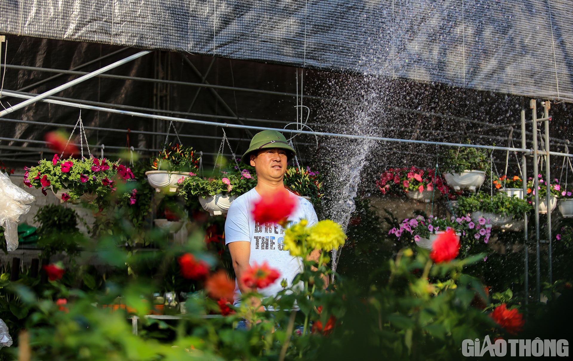 Để đảm bảo phục vụ người d&acirc;n tốt nhất, ngo&agrave;i đưa về những loại hoa qu&yacute;, đẹp... th&igrave; những nh&agrave; vườn ở l&agrave;ng hoa Kim Ph&uacute;c c&ograve;n phải thu&ecirc; rất nhiều c&ocirc;ng nh&acirc;n để gi&uacute;p chăm vườn hoa.