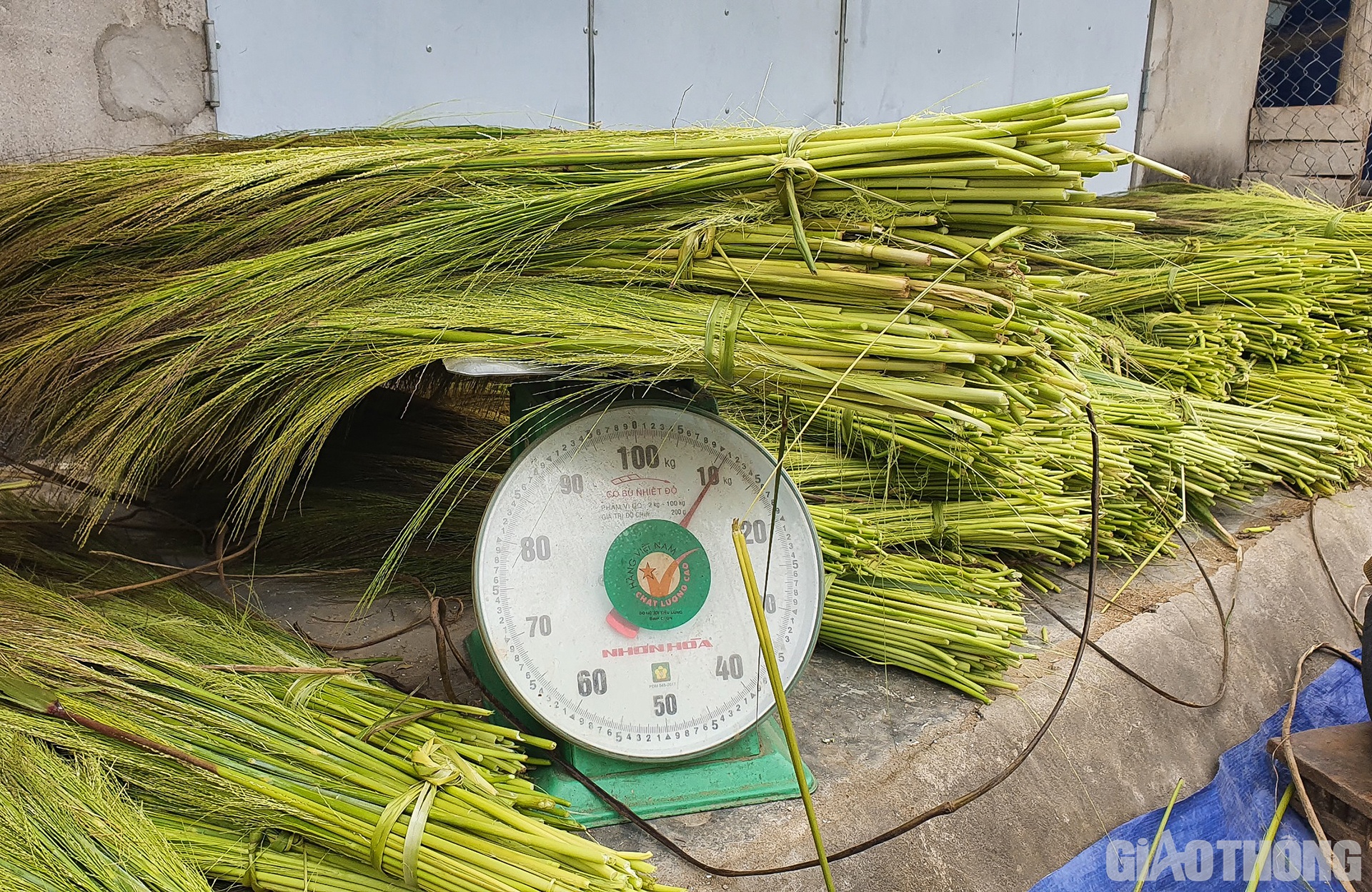 B&ocirc;ng đ&oacute;t được người d&acirc;n x&atilde; Hữu Kiệm mua với gi&aacute; 4.000 đồng/1kg.