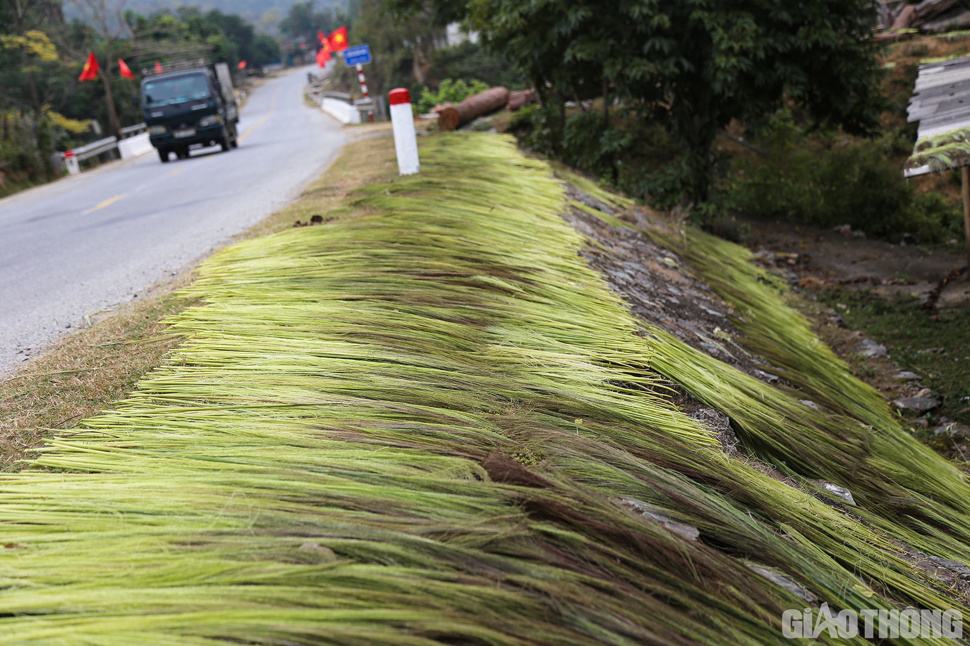 V&igrave; lượng b&ocirc;ng đ&oacute;t lớn n&ecirc;n mọi kh&ocirc;ng gian đều được tận dụng để phơi b&ocirc;ng đ&oacute;t, thậm ch&iacute; l&agrave; h&agrave;nh lang đường giao th&ocirc;ng...