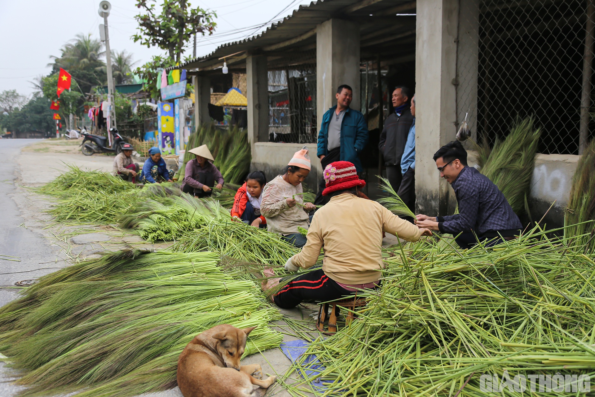 Cứ v&agrave;o dịp th&aacute;ng 12 &Acirc;m lịch h&agrave;ng năm, b&agrave; con đồng b&agrave;o d&acirc;n tộc Th&aacute;i ở x&atilde; Hữu Kiệm, huyện miền n&uacute;i bi&ecirc;n giới Kỳ Sơn, tỉnh Nghệ An lại tất bật v&agrave;o vụ "sơ chế" đ&oacute;t để b&aacute;n cho c&aacute;c cơ sở l&agrave;m chổi đ&oacute;t.