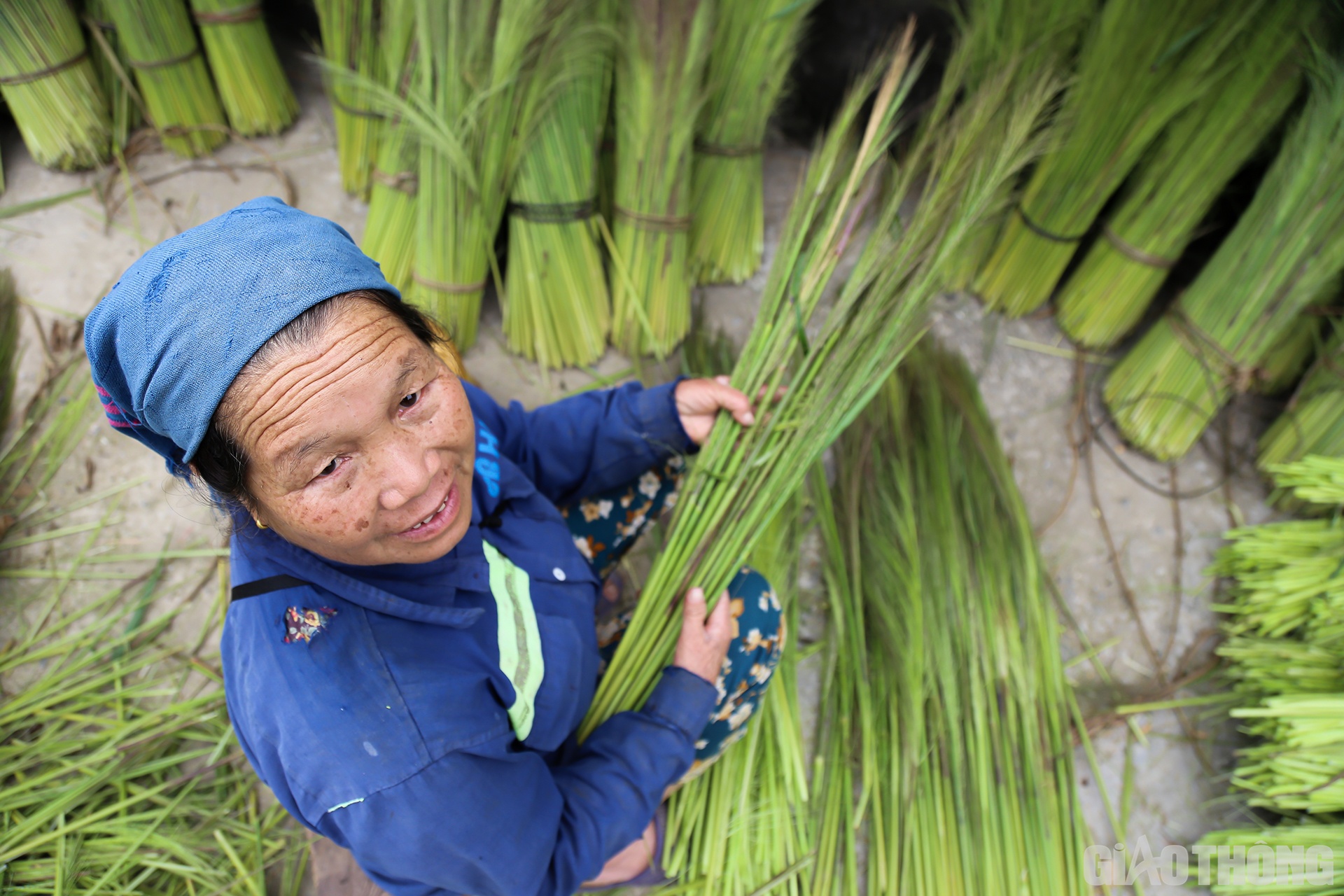 B&agrave; Lộc Thị Ho&agrave;i (69 tuổi, tr&uacute; ở bản B&agrave;, x&atilde; Hữu Kiệm) cho biết: Mỗi ng&agrave;y b&agrave; c&oacute; thể b&oacute;c vỏ từ 1 - 2 tạ b&ocirc;ng đ&oacute;t. Tiền c&ocirc;ng cho b&oacute;c một tạ đ&oacute;t l&agrave; 50.000 đồng.