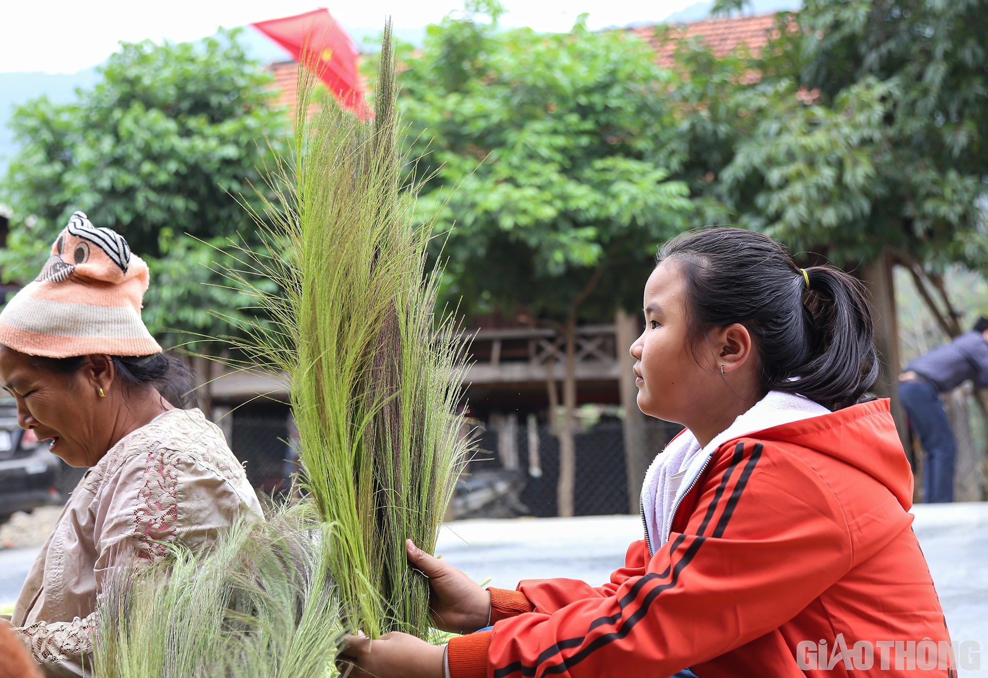 C&aacute;c em nhỏ cũng theo mẹ đi b&oacute;c b&ocirc;ng đ&oacute;t.