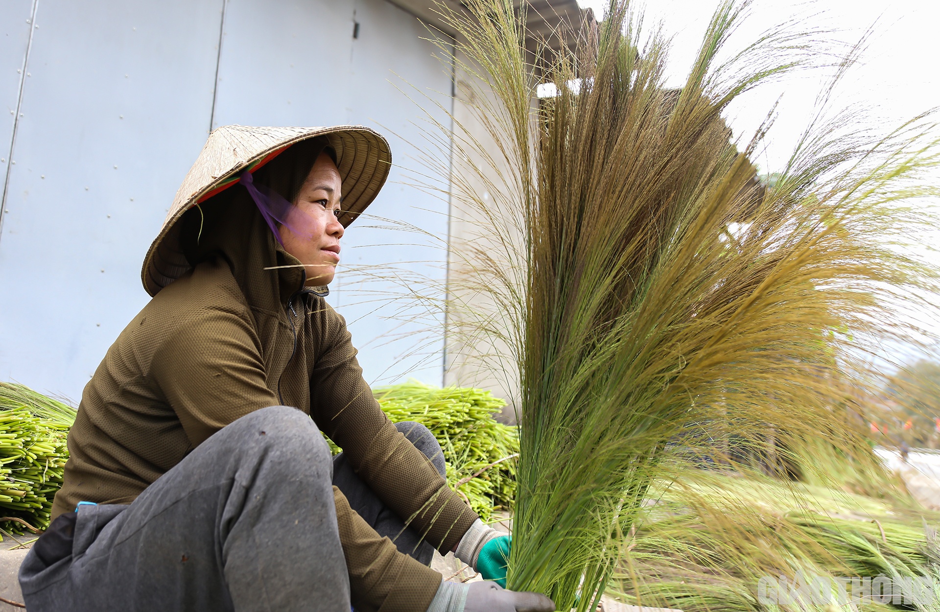 Theo đồng b&agrave;o d&acirc;n tộc Th&aacute;i ở x&atilde; Hữu Kiệm, địa phương cũng c&oacute; l&agrave;m chổi. Tuy nhi&ecirc;n, chỉ l&agrave;m số lượng &iacute;t để d&ugrave;ng. Số b&ocirc;ng đ&oacute;t chủ yếu để b&aacute;n cho c&aacute;c cơ sở l&agrave;m chổi đ&oacute;t dưới xu&ocirc;i.