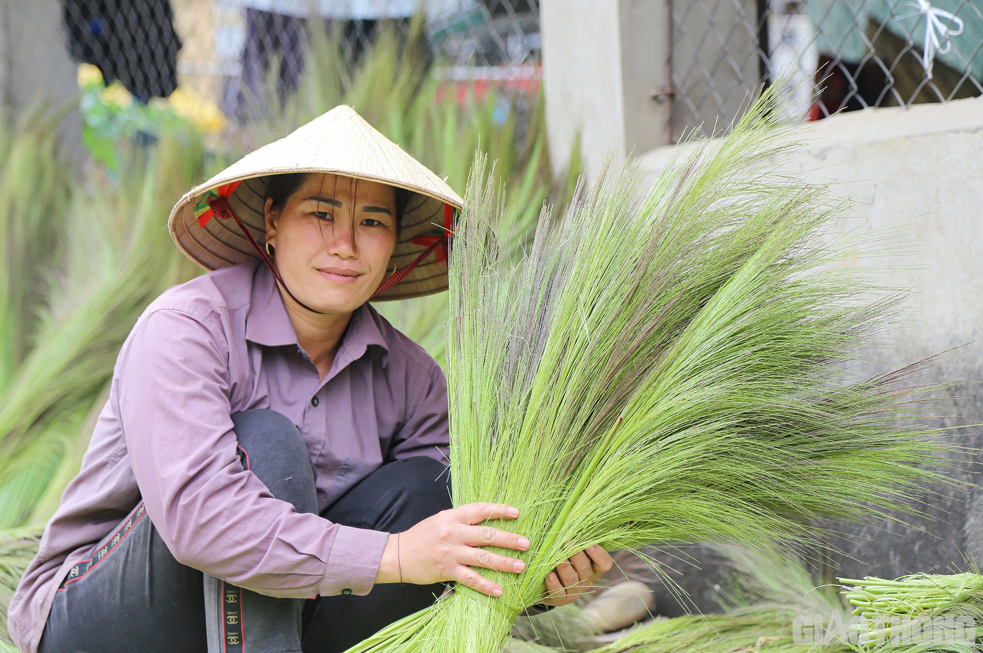 Việc b&oacute;c vỏ b&ocirc;ng đ&oacute;t kh&ocirc;ng qu&aacute; nặng nhọc, cầu kỳ tuy nhi&ecirc;n y&ecirc;u cầu người b&oacute;c phải cẩn thận, tỷ mỉ. Thứ nhất l&agrave; để tr&aacute;nh l&agrave;m hư b&ocirc;ng đ&oacute;t, thứ hai l&agrave; để tr&aacute;nh vỏ đ&oacute;t cứa v&agrave;o tay chảy m&aacute;u.