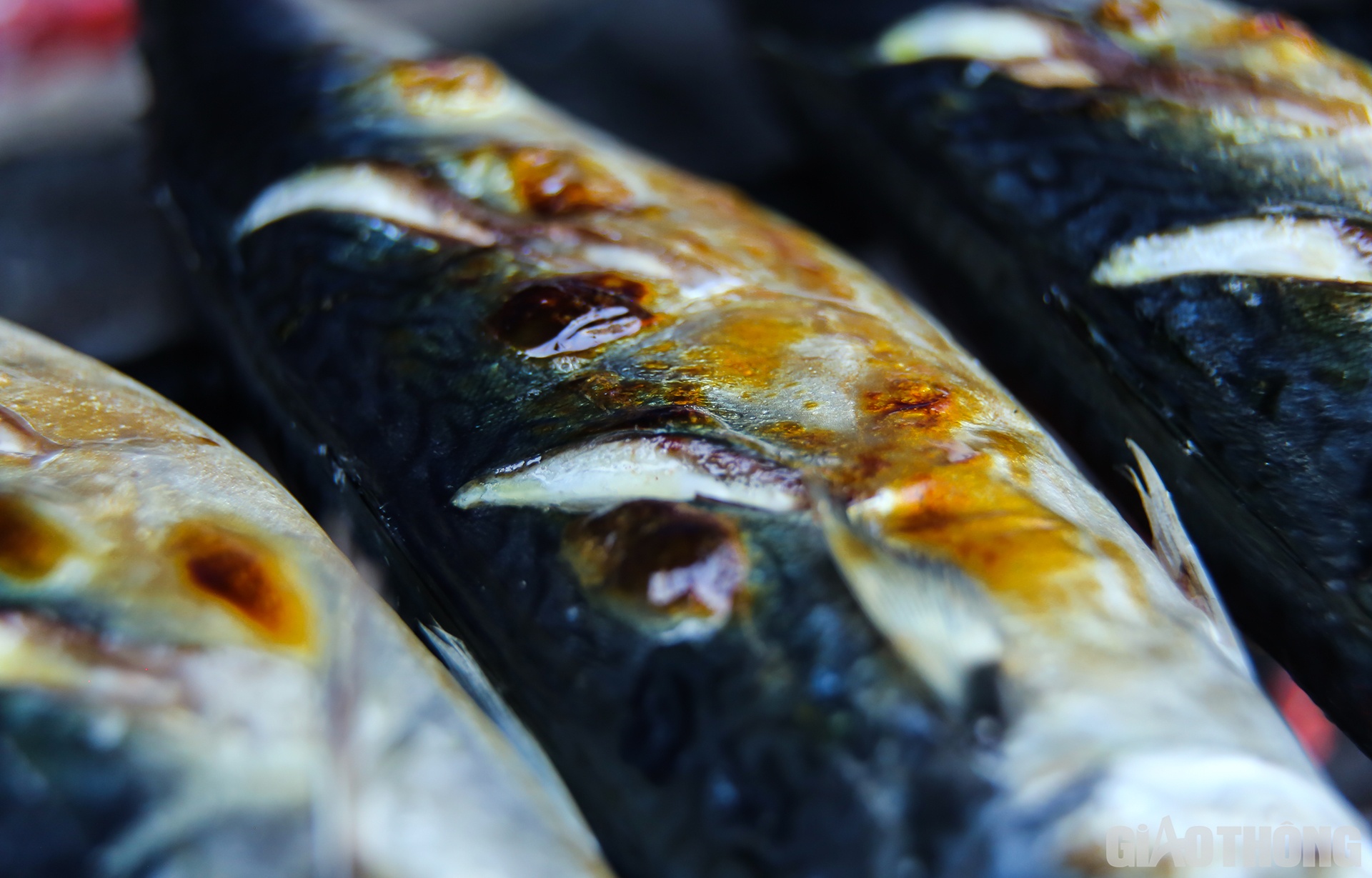 Chỉ nh&igrave;n v&agrave;o h&igrave;nh ảnh con c&aacute; v&agrave;ng ươm, mỡ c&aacute; x&igrave; x&egrave;o tr&ecirc;n than n&oacute;ng đ&atilde; thấy ngon đến "nhức răng"