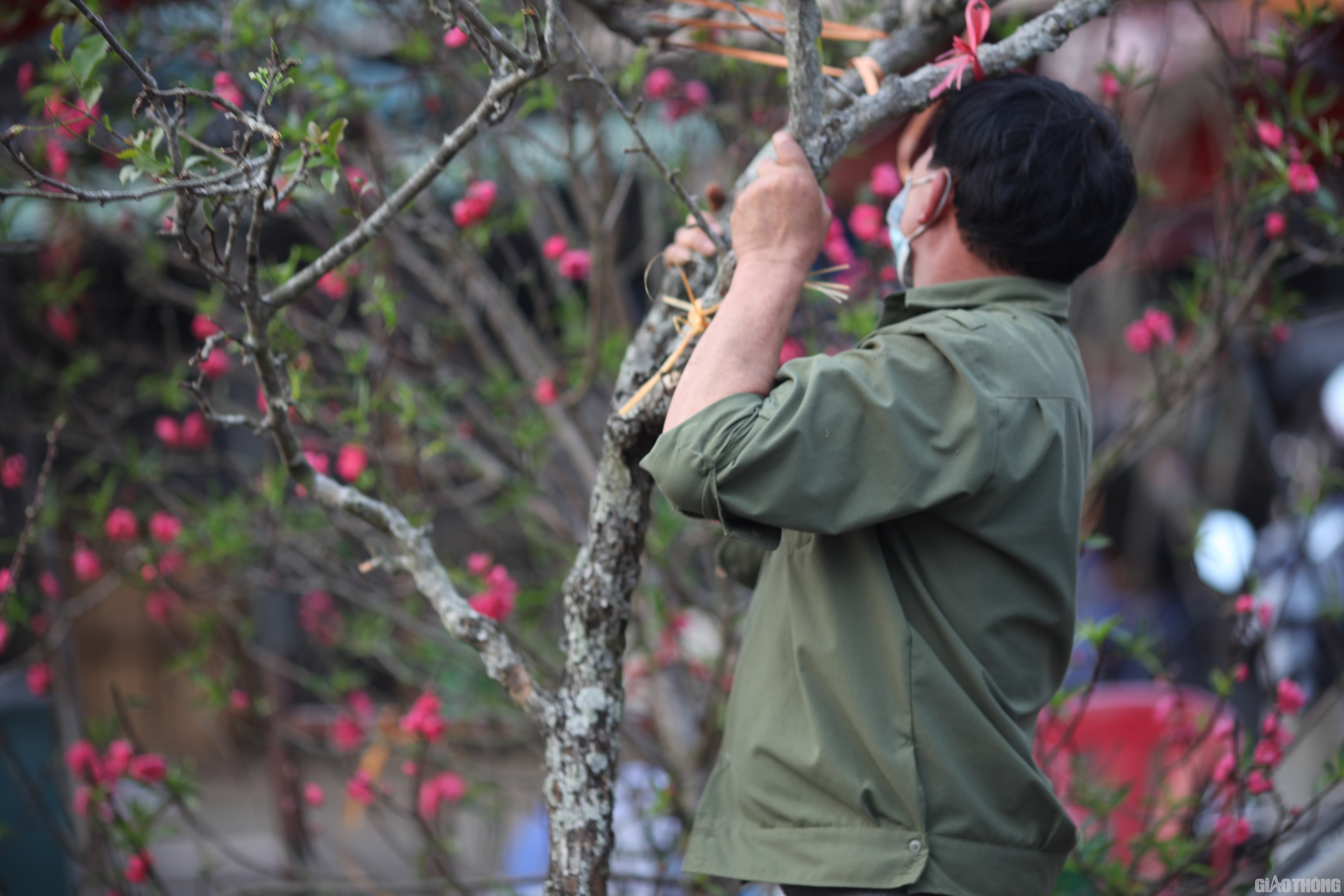 Một tiểu thương b&aacute;n hoa l&ecirc; tại chợ Quảng An h&agrave;o hứng: Tết Covid nhưng người b&aacute;n hoa vẫn "sống khoẻ" bởi lượng kh&aacute;ch đến mua hoa l&ecirc; đ&ocirc;ng hơn, gấp đ&ocirc;i so với năm ngo&aacute;i bất chấp mức gi&aacute; kh&ocirc;ng hề rẻ.