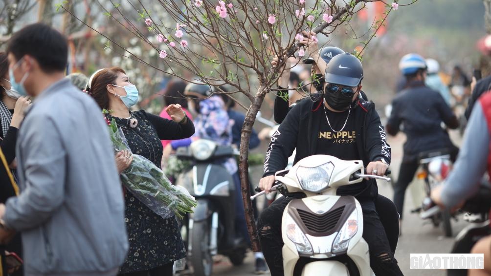 Kh&ocirc;ng "chịu" nổi mức gi&aacute; qu&aacute; cao của hoa l&ecirc;, nhiều người đ&atilde; quay sang mua hoa đ&agrave;o nở muộn.