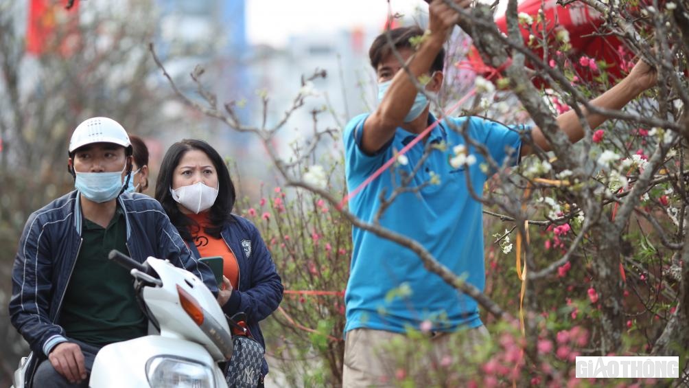 Những c&agrave;nh nhiều nụ, c&oacute; thể chơi đến 2 th&aacute;ng. Cũng c&oacute; lẽ bởi thời gian chơi bền hơn so với đ&agrave;o hay mai n&ecirc;n nhiều người y&ecirc;u hoa vẫn sẵn s&agrave;ng "m&oacute;c t&uacute;i chi tiền". Trong ảnh, 2 kh&aacute;ch h&agrave;ng ở Quốc Tử Gi&aacute;m (H&agrave; Nội) đ&atilde; quyết định chi 3,8 triệu đồng để mua c&agrave;nh l&ecirc; ưng &yacute;.