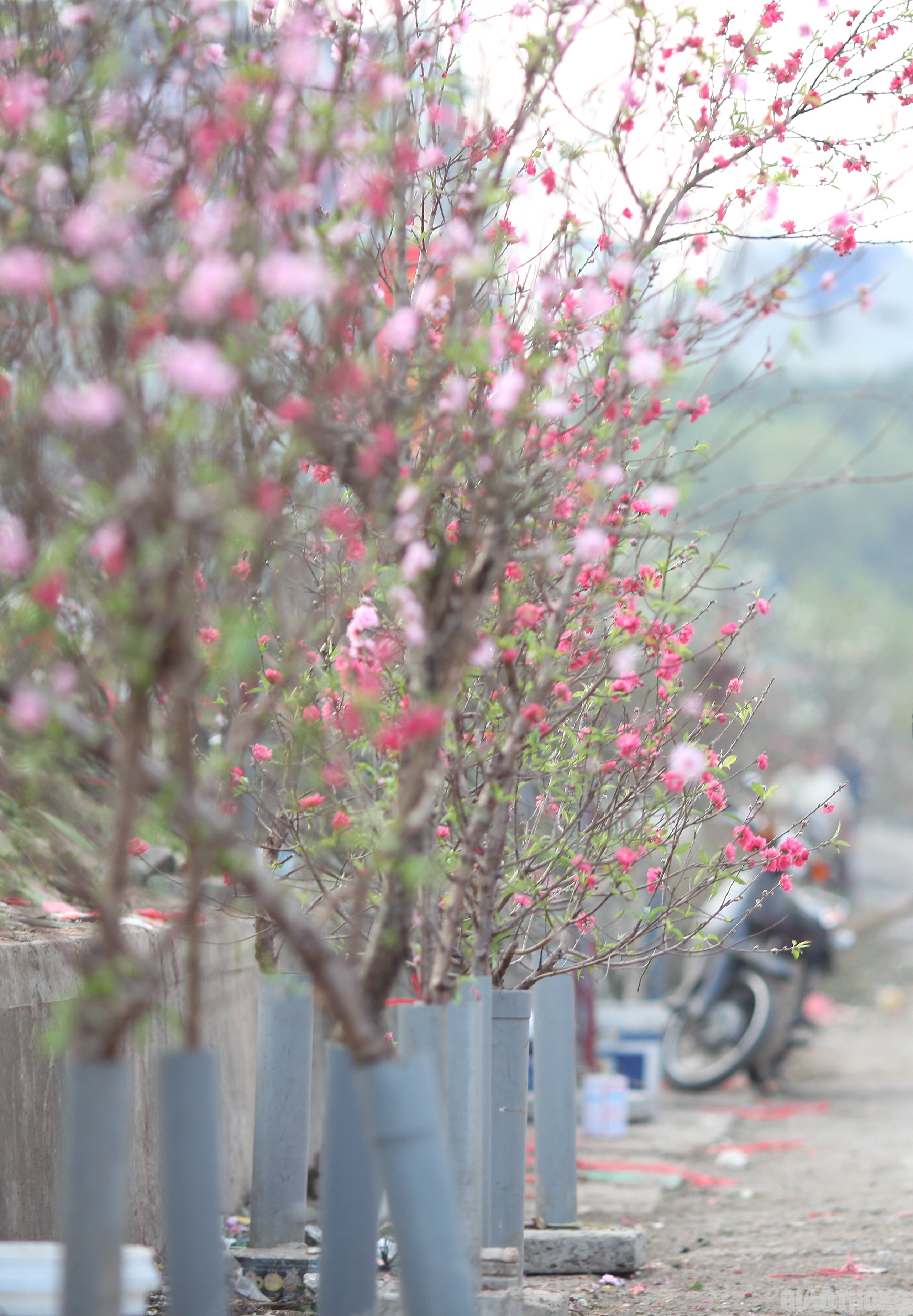 Khu vực b&aacute;n đ&agrave;o d&ugrave; kh&aacute; "khi&ecirc;m tốn" ở một g&oacute;c nhỏ nhưng vẫn được nhiều người t&igrave;m đến do mức gi&aacute; mềm.