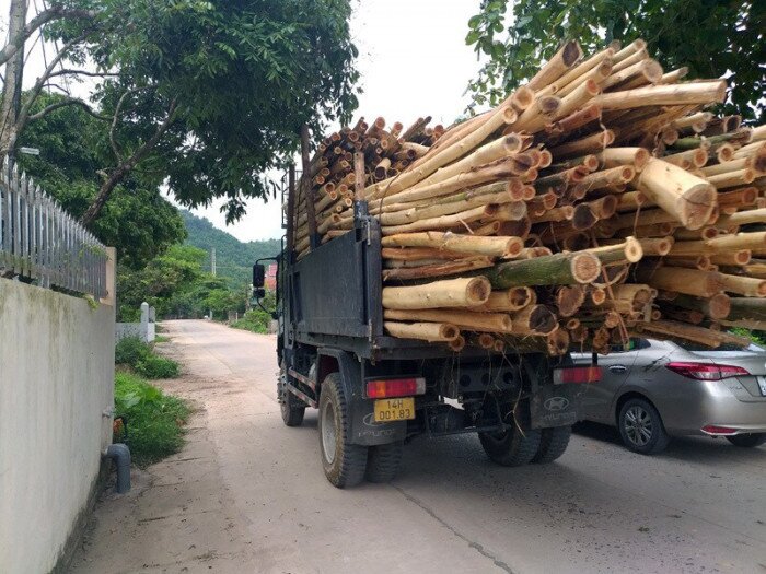 Người tham gia giao th&ocirc;ng ở Quảng Ninh kh&ocirc;ng khỏi lo ngại khi gặp những chiếc xe tải chở gỗ rất cồng kềnh như thế n&agrave;y. Ảnh chụp tr&ecirc;n đường th&ocirc;n Khe Ng&aacute;i, x&atilde; Đo&agrave;n Kết, huyện V&acirc;n Đồn, tỉnh Quảng Ninh.