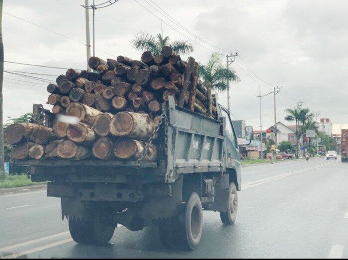 Tuy kh&ocirc;ng thường xuy&ecirc;n, nhưng thỉnh thoảng tr&ecirc;n QL18A, đoạn qua Tp U&ocirc;ng B&iacute; cũng gặp loại xe chở gỗ cồng kềnh như n&agrave;y.