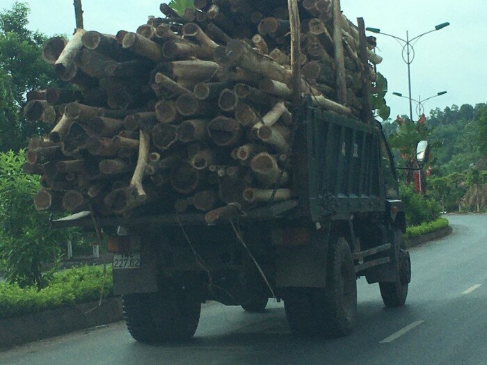 Tuyến đường từ x&atilde; Đo&agrave;n Kết ra ph&iacute;a thị trấn C&aacute;i Rồng, huyện V&acirc;n Đồn l&agrave; khu vực c&oacute; nhiều xe chở gỗ cồng kềnh hoạt động.