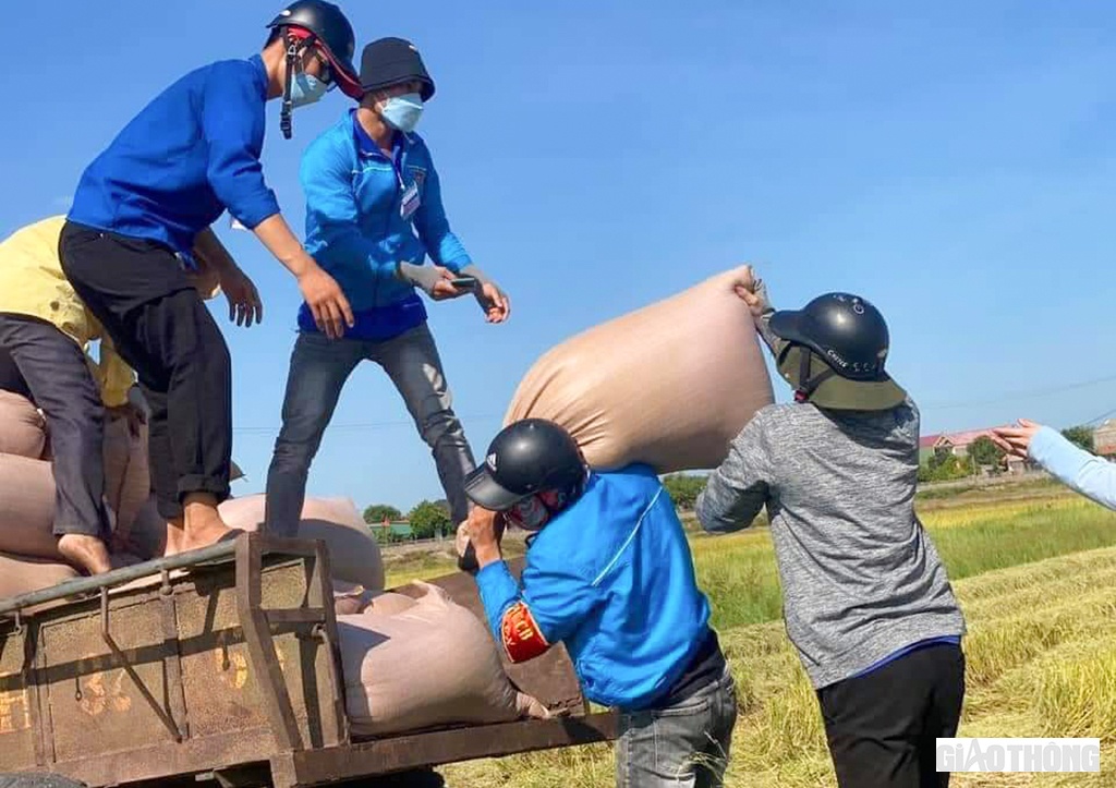 Tr&ecirc;n c&aacute;c c&aacute;nh đồng l&uacute;a ch&iacute;n v&agrave;ng, b&ecirc;n cạnh lực lượng C&ocirc;ng an c&ograve;n c&oacute; rất nhiều ĐVTN đang sinh hoạt tại c&aacute;c chi đo&agrave;n, li&ecirc;n chi đo&agrave;n thuộc huyện đo&agrave;n Cẩm Xuy&ecirc;n tham gia.