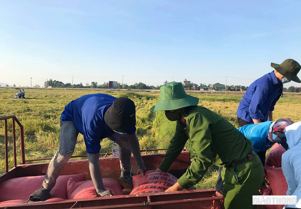 H&agrave;ng ng&agrave;y, c&aacute;c bạn thực hiện việc như: phối hợp với c&aacute;c lực lượng kh&aacute;c trực chốt kiểm dịch, đưa cơm cho c&aacute;c chốt kiểm dịch, đi chợ gi&uacute;p người d&acirc;n... ngo&agrave;i ra, nhiều bạn kh&aacute;c th&igrave; gi&uacute;p d&acirc;n thu hoạch l&uacute;a ch&iacute;n ngo&agrave;i đồng.