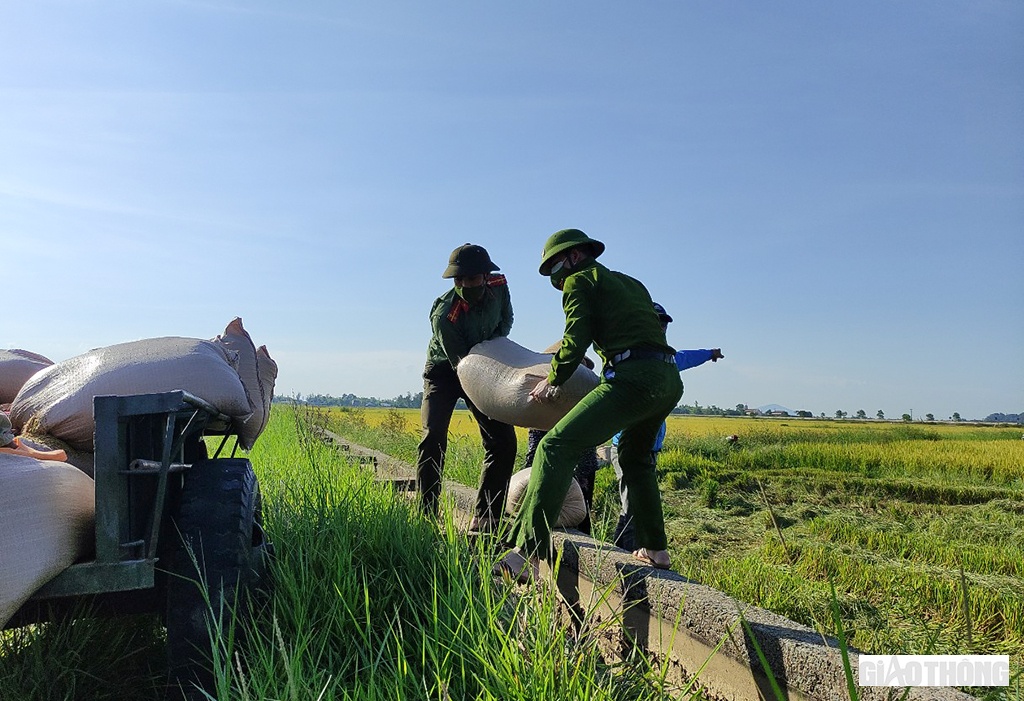 Chia sẻ với kh&oacute; khăn của người d&acirc;n v&ugrave;ng dịch, h&agrave;ng chục ĐVTN C&ocirc;ng an huyện Cẩm Xuy&ecirc;n đ&atilde; thực hiện nhiệm vụ k&eacute;p: vừa ph&ograve;ng, chống dịch, vừa gọi m&aacute;y gặt v&agrave; xuống đồng gặt l&uacute;a cho người d&acirc;n.