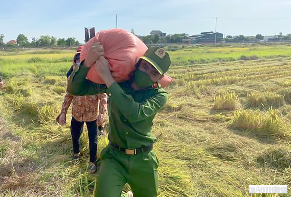 G&aacute;c lại mọi mệt mỏi sau những giờ g&aacute;c chốt kiểm so&aacute;t, v&agrave; d&ugrave; trời nắng như đổ lửa, c&aacute;c ĐVTN C&ocirc;ng an huyện Cẩm Xuy&ecirc;n đ&atilde; tranh thủ mọi l&uacute;c để xuống đồng thu gom l&uacute;a cho b&agrave; con nh&acirc;n d&acirc;n. Chỉ trong một thời gian ngắn, h&agrave;ng chục s&agrave;o l&uacute;a của c&aacute;c hộ d&acirc;n đang phải thực hiện c&aacute;ch ly y tế, c&aacute;c gia đ&igrave;nh neo đơn, kh&oacute; khăn tr&ecirc;n địa b&agrave;n đ&atilde; được thu hoạch xong xu&ocirc;i, đ&oacute;ng bao đưa về nh&agrave;. Trung &uacute;y Lưu Như Quảng (Đội Điều tra tổng hợp C&ocirc;ng an huyện Cẩm Xuy&ecirc;n) chia sẻ: Sau khi Đo&agrave;n Thanh ni&ecirc;n đơn vị k&ecirc;u gọi, 100% c&aacute;n bộ, đo&agrave;n vi&ecirc;n đều hưởng ứng v&agrave; tham gia nhiệt t&igrave;nh.