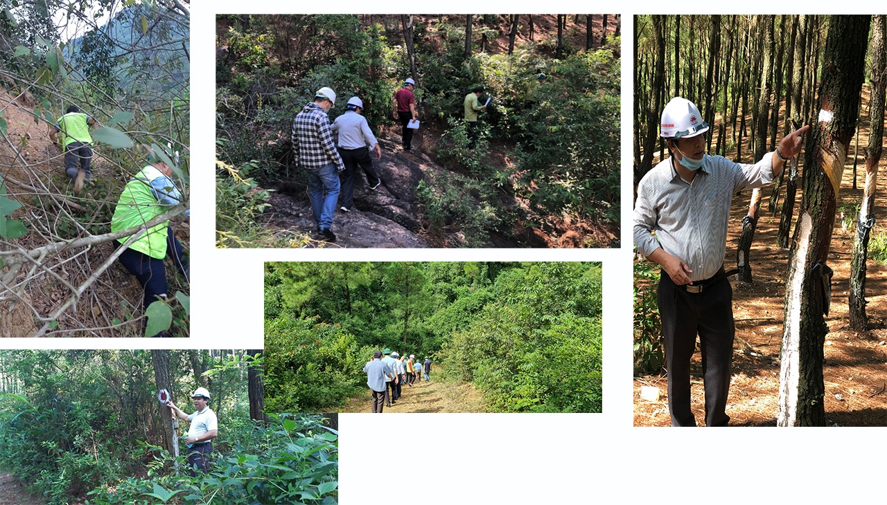 Ít ai biết để có tuyến cao tốc cho ô tô chạy 120km/h, các kỹ sư công nhân ngành giao thông đã phải cuốc bộ không biết bao nhiêu lần leo núi, vượt rừng cắm tuyến, trước khi đưa máy móc thiết bị vào triển khai thi công.