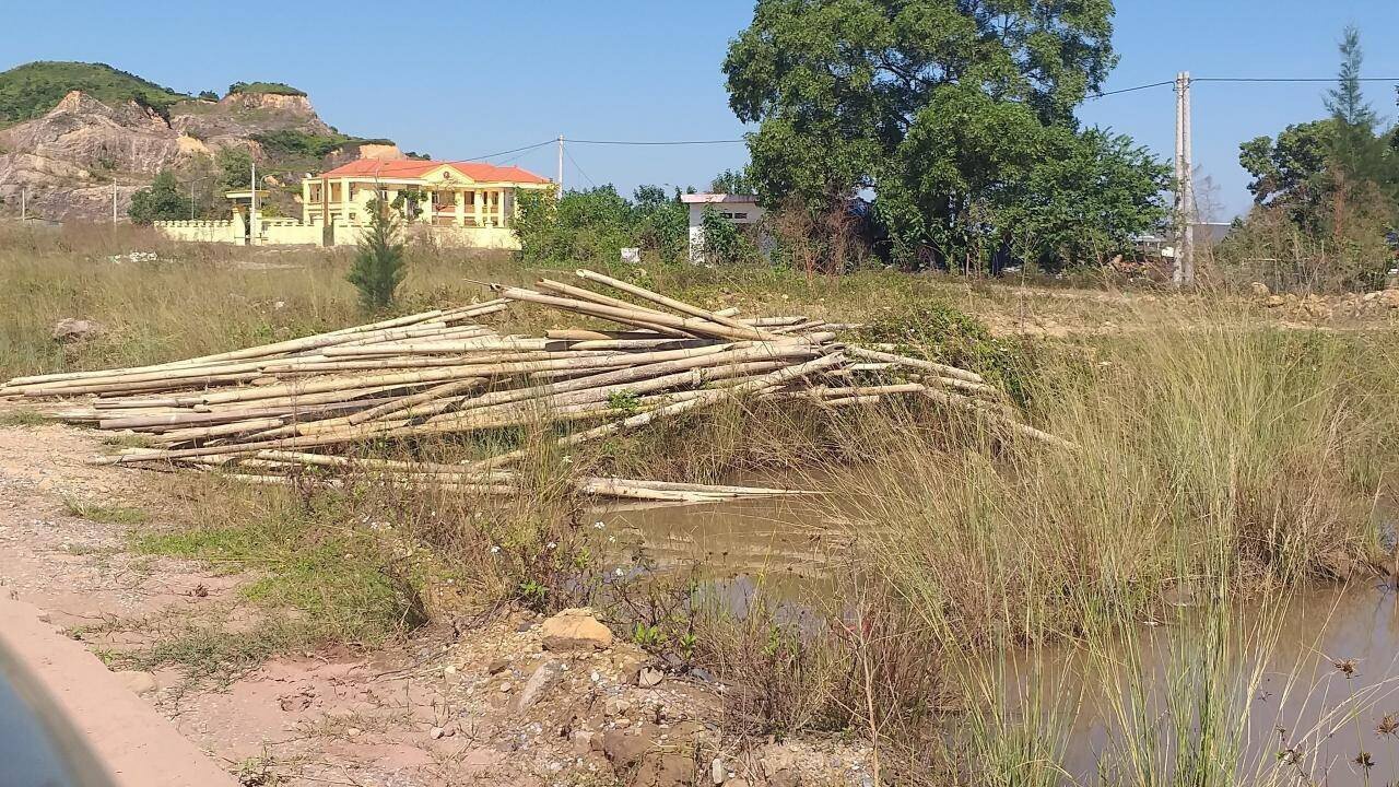 Nhiều đoạn thuộc diện t&iacute;ch mặt đường, lề đường xuống cảng Hải H&agrave; bị bỏ hoang, n&ecirc;n người d&acirc;n thoải m&aacute;i "tận dụng" để tập kết tre, gỗ...