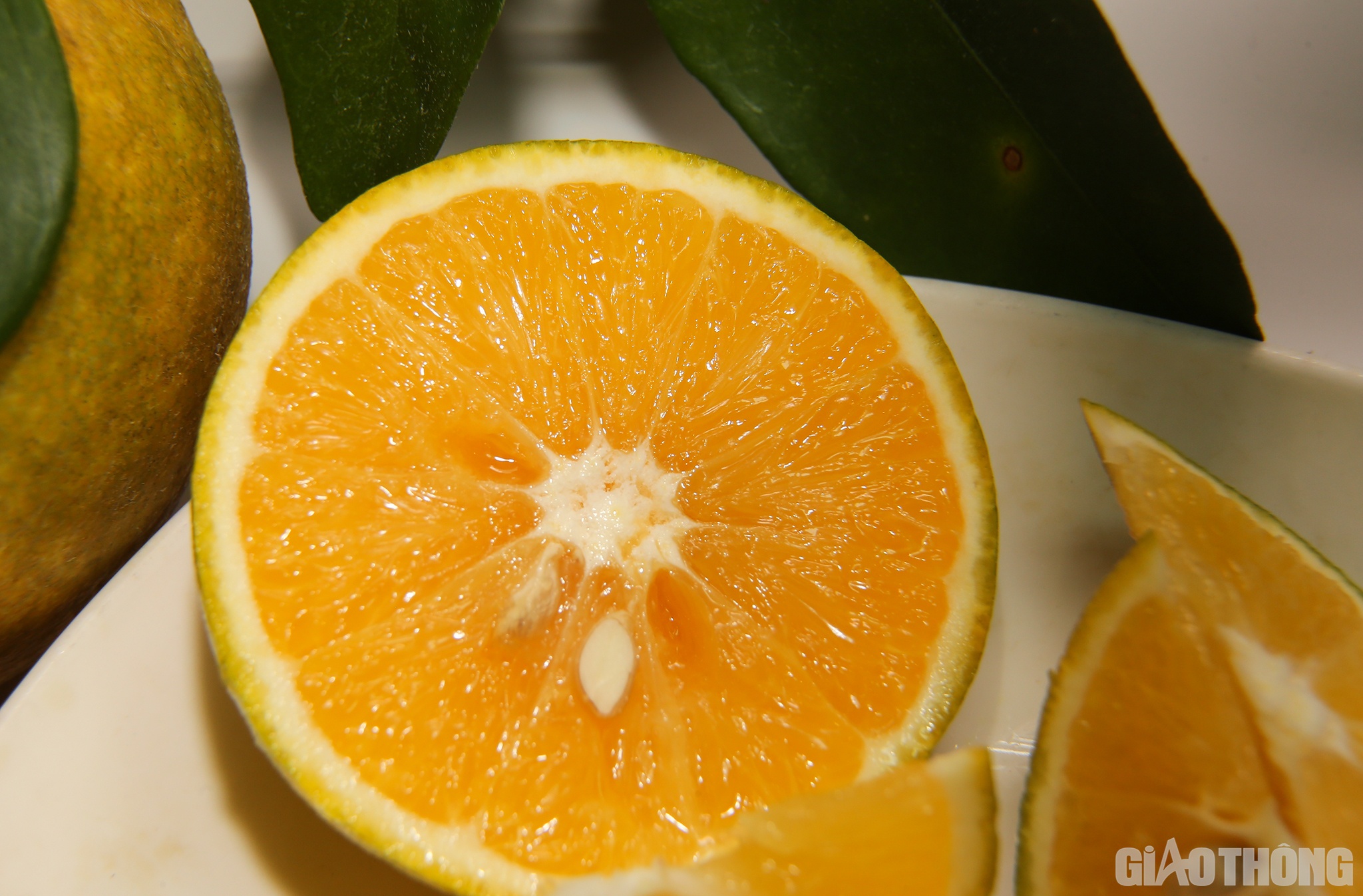 Nh&igrave;n những t&eacute;p cam Khe M&acirc;y sau khi được bổ ra, bất cứ ai cũng th&egrave;m được thưởng thức.