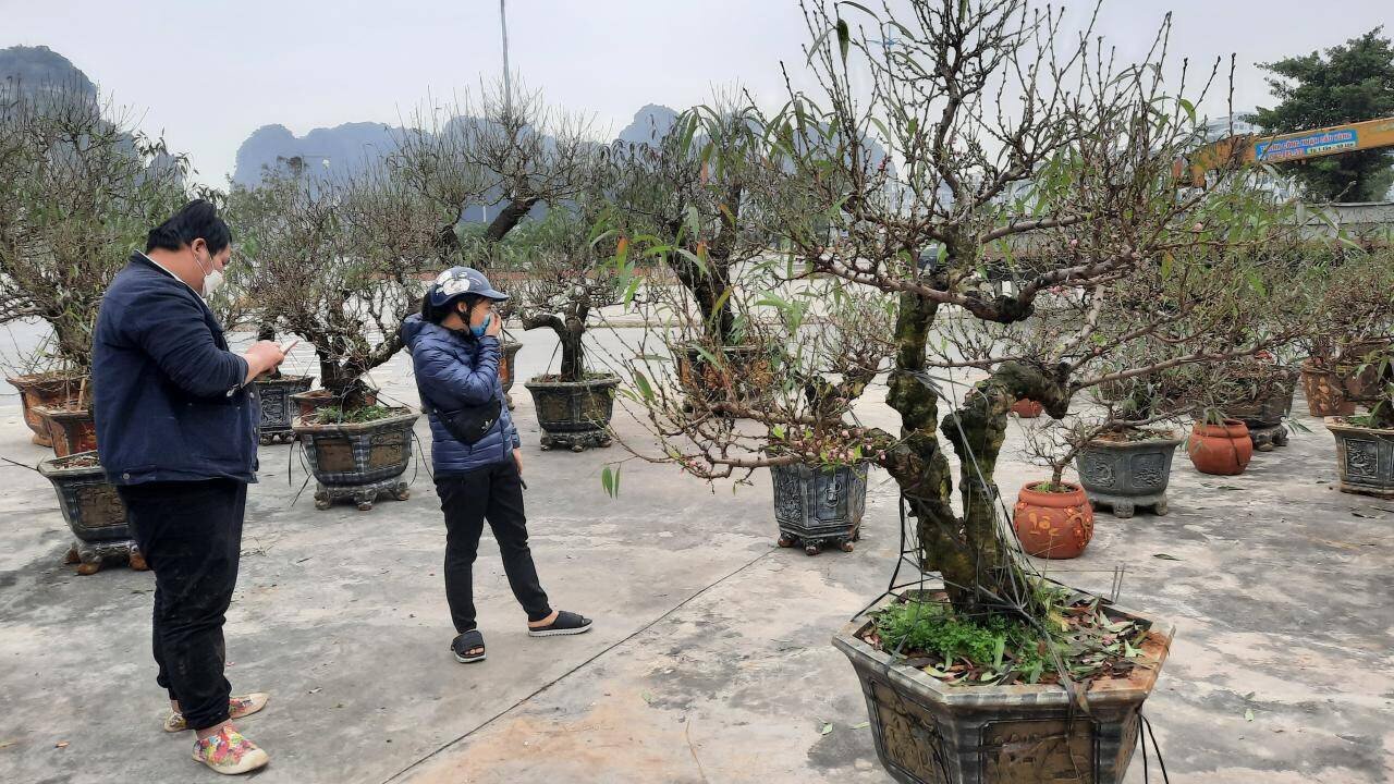 Kh&ocirc;ng những thế, cụm c&ocirc;ng tr&igrave;nh n&agrave;y c&ograve;n l&agrave; nơi người d&acirc;n sinh sống quanh khu vực đi bộ, tập thể dục v&agrave; cũng l&agrave; nơi tổ chức c&aacute;c hội chợ hoa, c&acirc;y cảnh lớn nhất của TP Hạ Long.