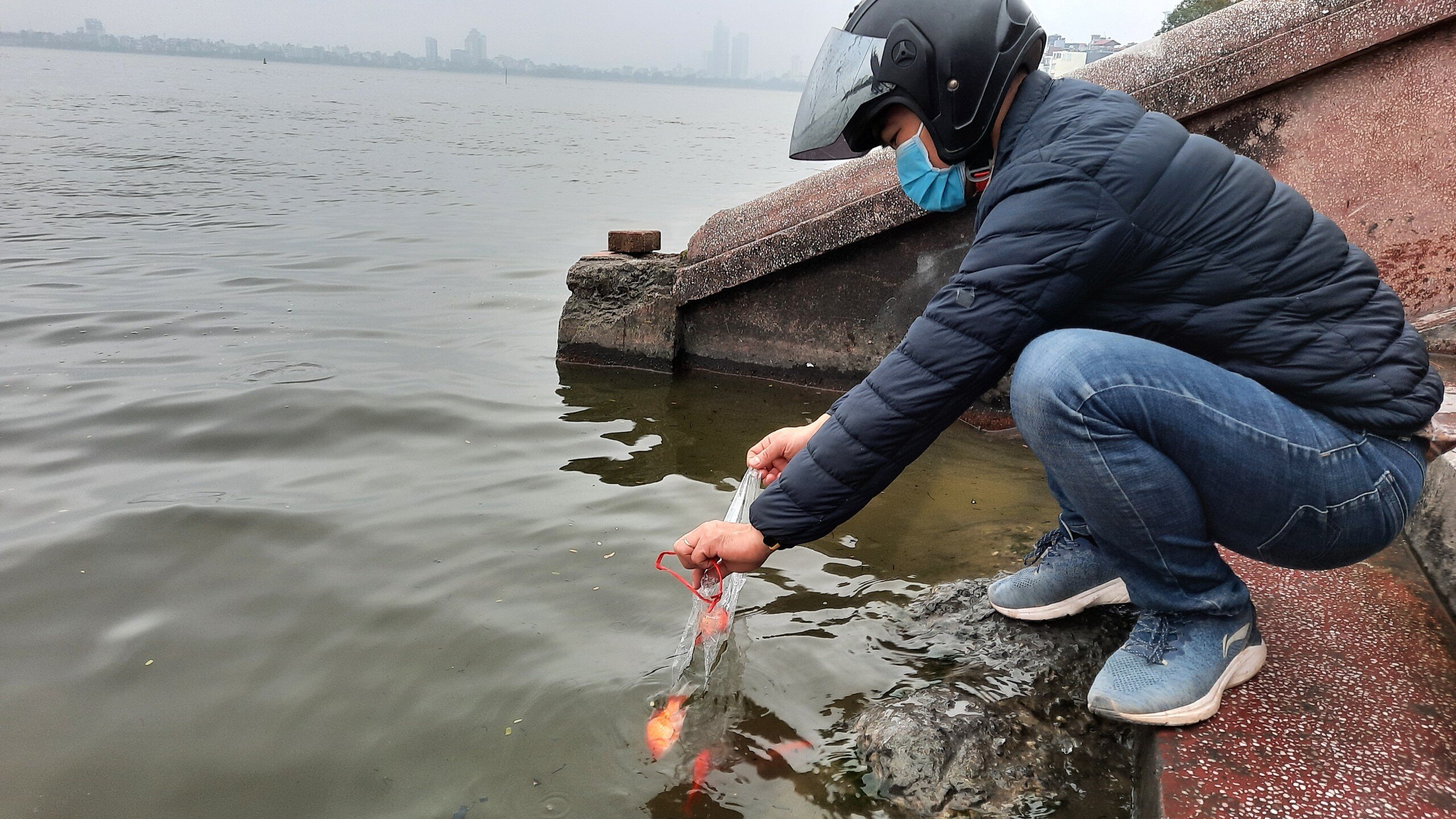 Anh Nguyễn Văn T., cho biết: "Việc lựa chọn nơi c&oacute; cầu l&ecirc;n xuống hồ T&acirc;y để c&aacute; ch&eacute;p được an to&agrave;n, thả từ tr&ecirc;n cao xuống th&igrave; c&aacute; rất dễ chết".