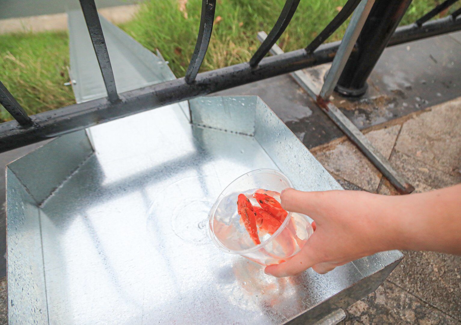 M&aacute;ng trượt được đặt tr&ecirc;n mặt th&agrave;nh bờ, một đầu k&ecirc; l&ecirc;n m&eacute;p h&agrave;ng r&agrave;o, một đầu chạy thẳng xuống hồ nước.