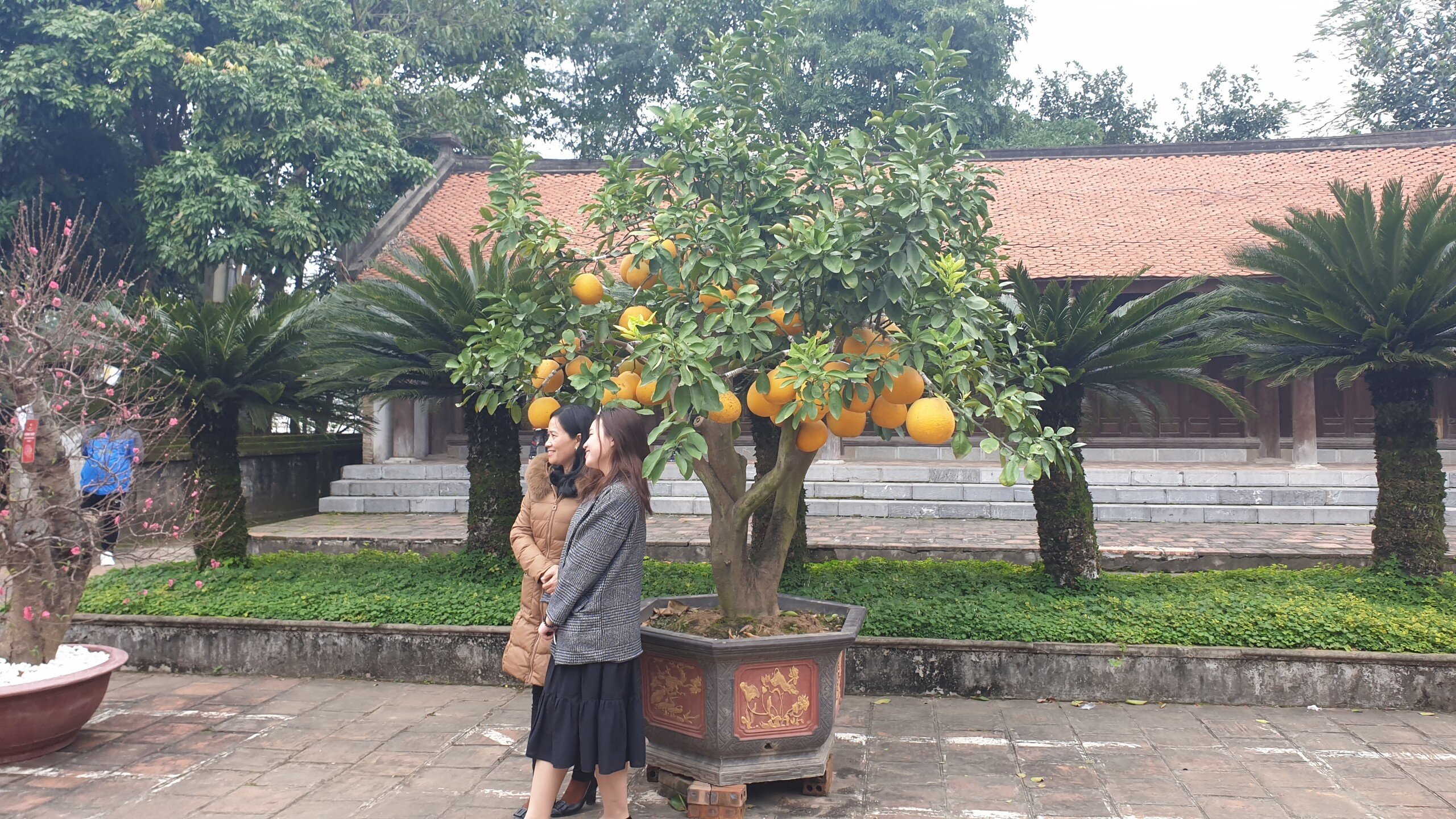 Ngo&agrave;i việc xin ấn cầu an, du kh&aacute;ch c&ograve;n c&oacute; thể thưởng l&atilde;m cảnh sắc thi&ecirc;n nhi&ecirc;n tươi đẹp, kiến tr&uacute;c của đền Trần v&agrave; chụp ảnh lưu niệm tại đ&acirc;y.