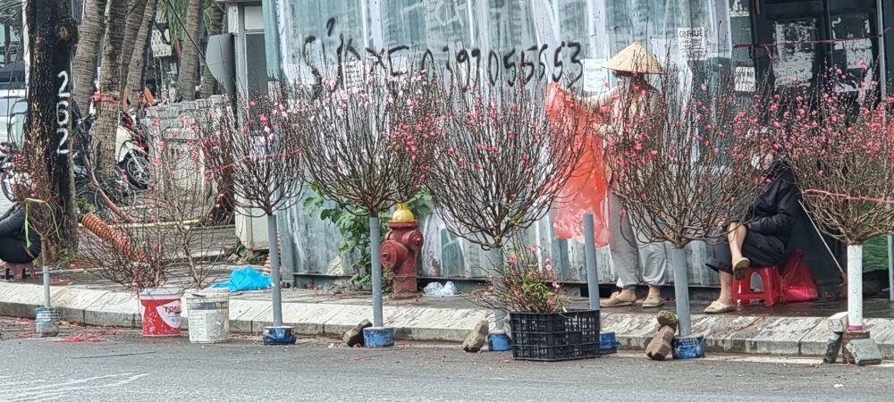 Tr&ecirc;n nhiều tuyến phố vẫn c&ograve;n những người b&aacute;n những c&agrave;nh đ&agrave;o cuối vụ cho người c&oacute; nhu cầu chơi sau Tết.