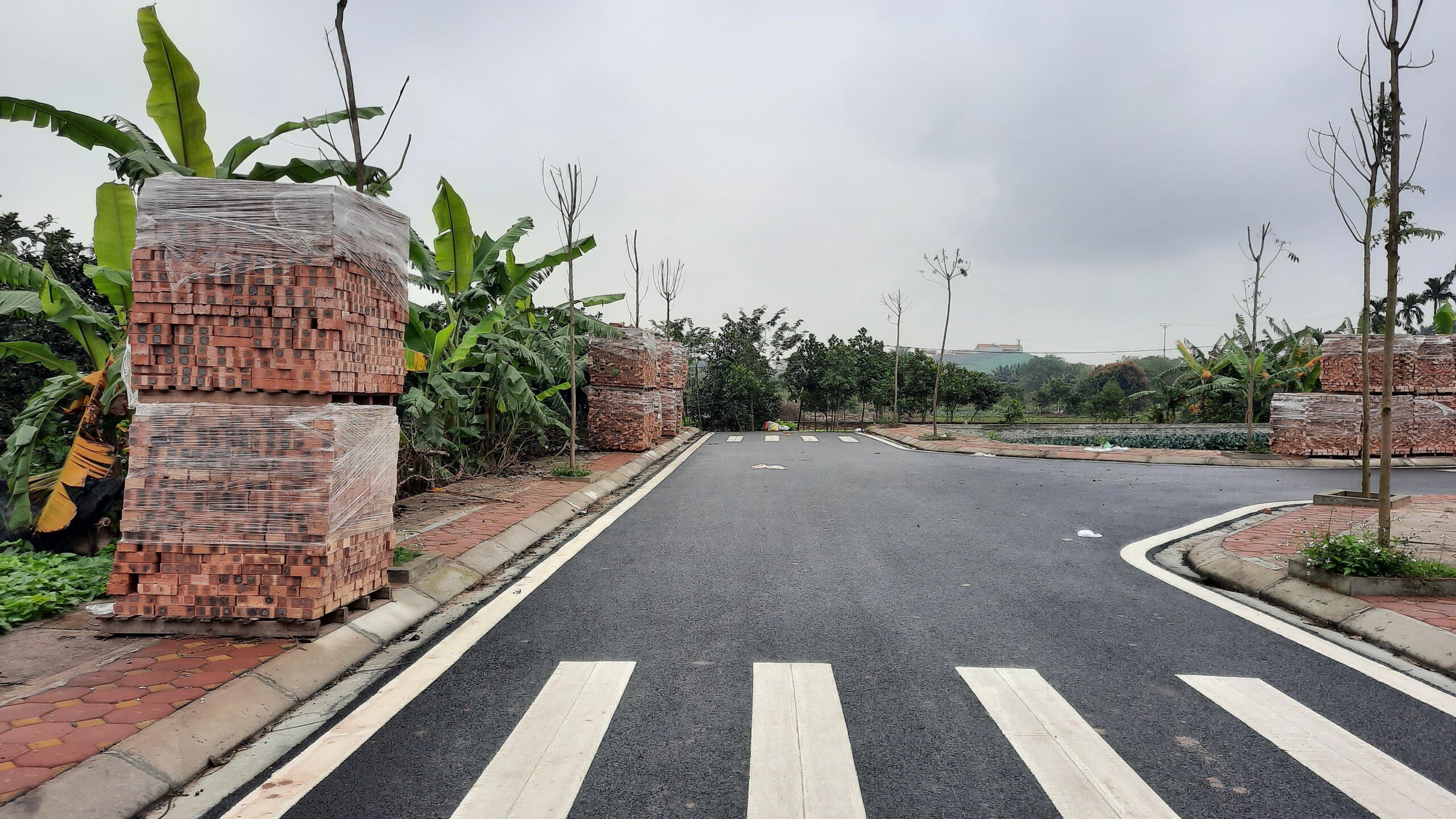 Những ng&agrave;y trung tuần th&aacute;ng 2/2022, sau khi Cục Bổ trợ tư ph&aacute;p (Bộ Tư ph&aacute;p) chỉ ra h&agrave;ng loạt những sai phạm trong qu&aacute; tr&igrave;nh đấu gi&aacute; v&agrave; y&ecirc;u cầu kh&ocirc;ng c&ocirc;ng nhận, hủy kết quả đấu gi&aacute; của 26/48 l&ocirc; đất tại khu Chăn Nu&ocirc;i, x&atilde; Đồng Th&aacute;p, huyện Đan Phượng (TP H&agrave; Nội), PV B&aacute;o Giao th&ocirc;ng đ&atilde; c&oacute; mặt tại khu đất n&agrave;y để ghi nhận thực tế.