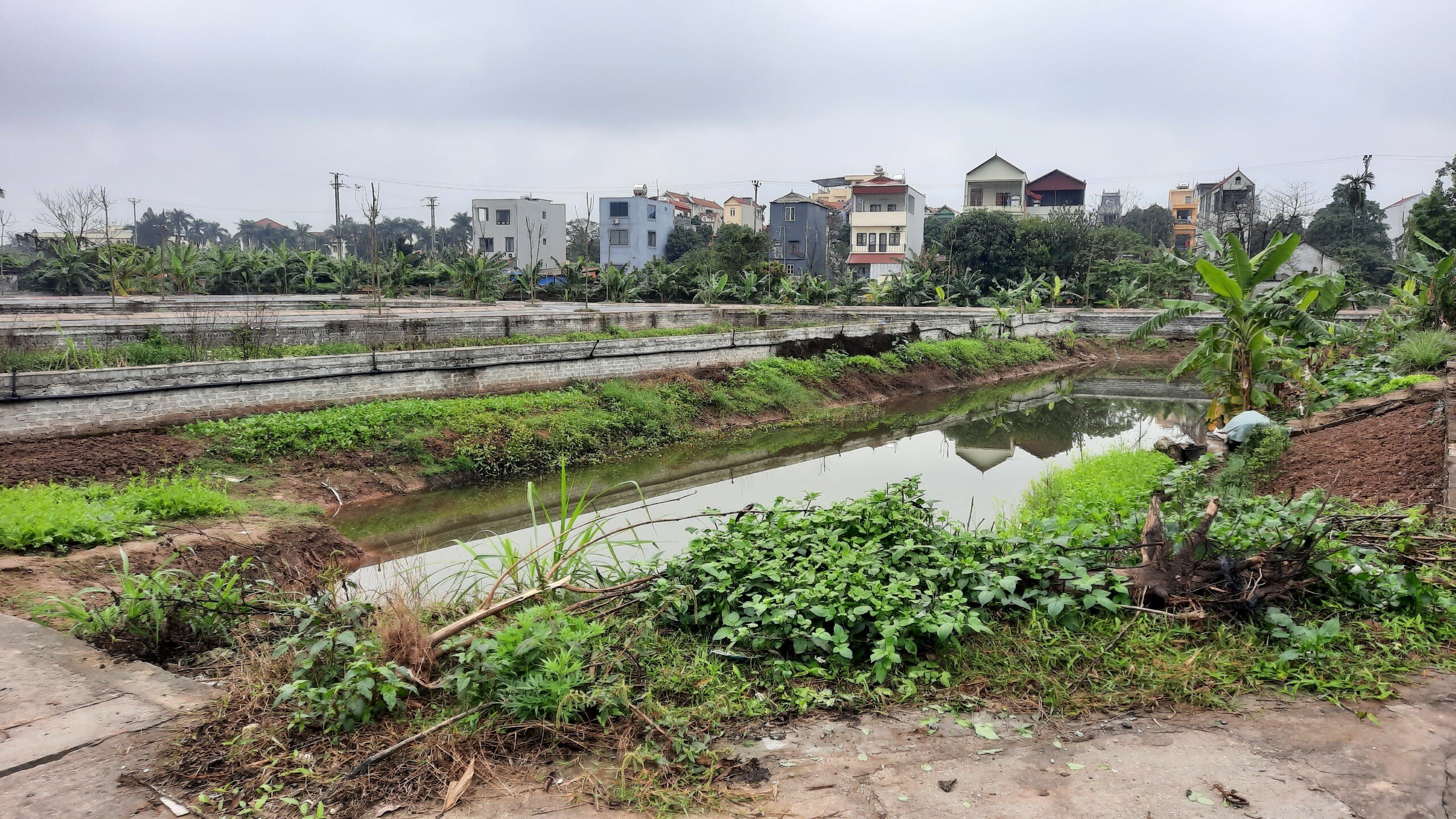 Mặt bằng tại c&aacute;c khu đất n&agrave;y vẫn chưa được t&ocirc;n nền, đa phần c&aacute;c l&ocirc;, thửa đất vẫn trũng thấp như ao hồ.
Theo một người d&acirc;n từng đấu gi&aacute; đất th&agrave;nh c&ocirc;ng thửa đất tại đ&acirc;y cho biết, gi&aacute; đất hiện tại ở khu đất n&agrave;y cao hơn từ 10 đến 15% với gi&aacute; khi đấu gi&aacute; th&agrave;nh c&ocirc;ng. Rất nhiều thửa đ&atilde; c&oacute; sự mua đi b&aacute;n lại.