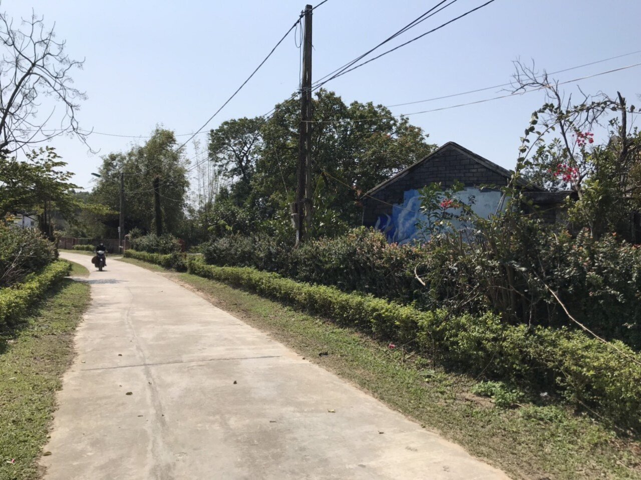 Giao th&ocirc;ng đến l&agrave;ng b&iacute;ch họa được đầu tư, tạo thuận lợi cho người d&acirc;n v&agrave; du kh&aacute;ch đi lại.