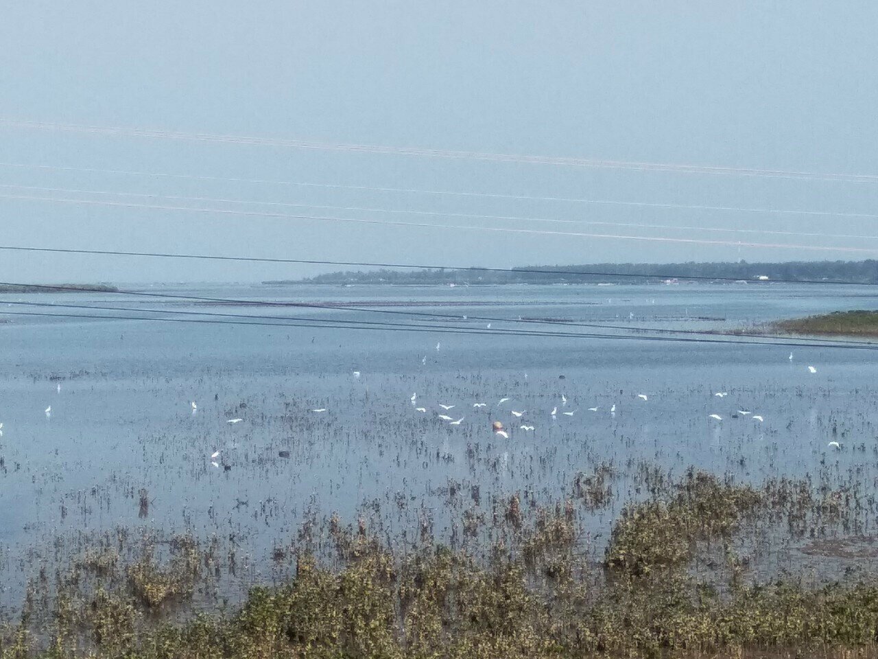 Đến với nơi đ&acirc;y, mọi người vừa được ngắm sự ồn &agrave;o l&uacute;c triều l&ecirc;n, lặng lẽ l&uacute;c nước cạn, được thưởng thức những m&oacute;n đặc sản của địa phương v&agrave; được tản bộ ngắm những bức tranh đẹp trong ng&ocirc;i l&agrave;ng b&igrave;nh dị, hữu t&igrave;nh.