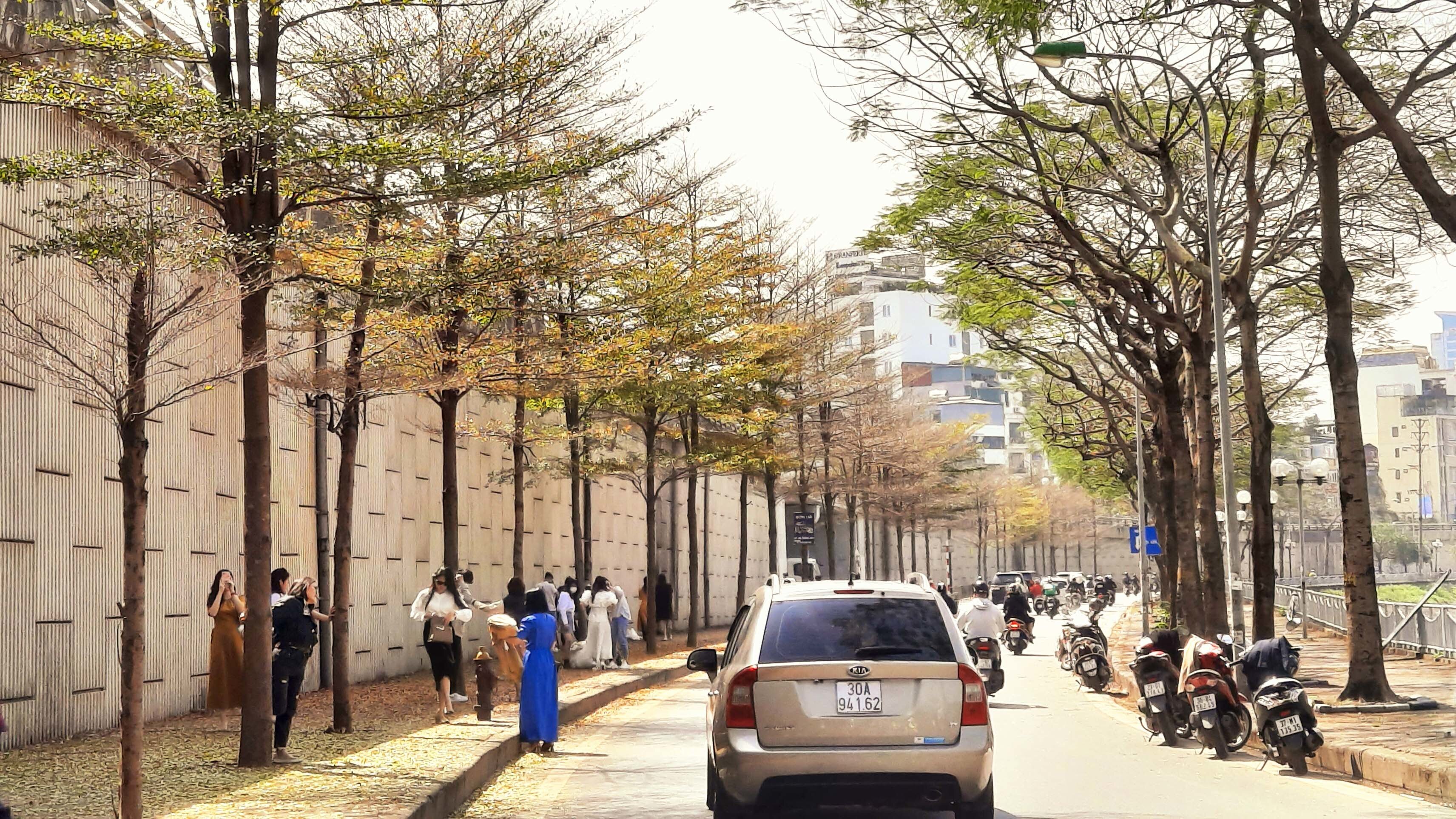 Nhiều bạn trẻ đ&atilde; hẹn nhau tại đ&acirc;y để chụp ảnh lưu niệm, trong khi người đi đường khi bắt gặp h&agrave;ng c&acirc;y đẹp cũng dừng lại để chụp ảnh.