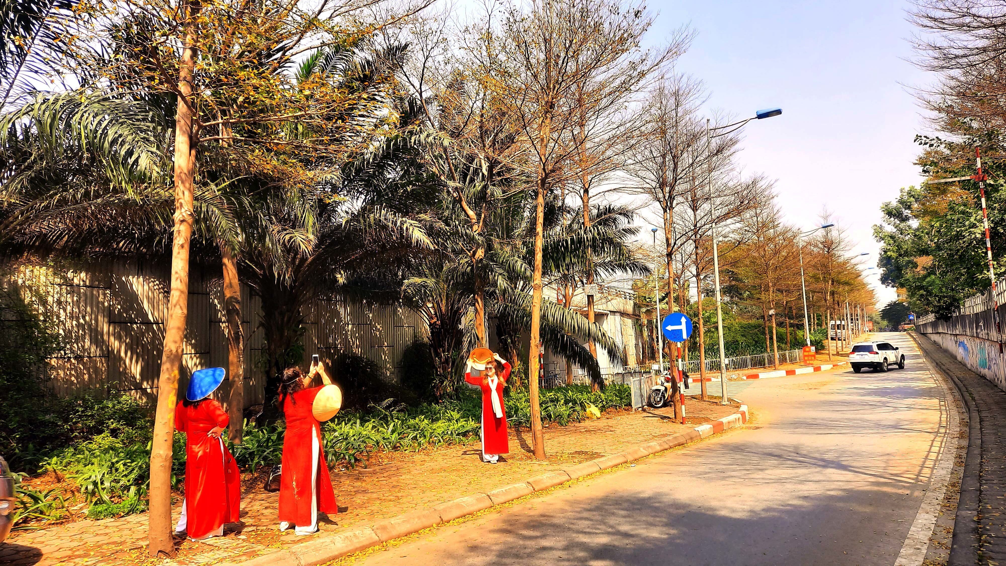 Khung cảnh n&agrave;y khiến nhiều người li&ecirc;n tưởng đến cảnh sắc l&aacute; v&agrave;ng rụng vốn chỉ c&oacute; ở c&aacute;c đường phố ch&acirc;u &Acirc;u.