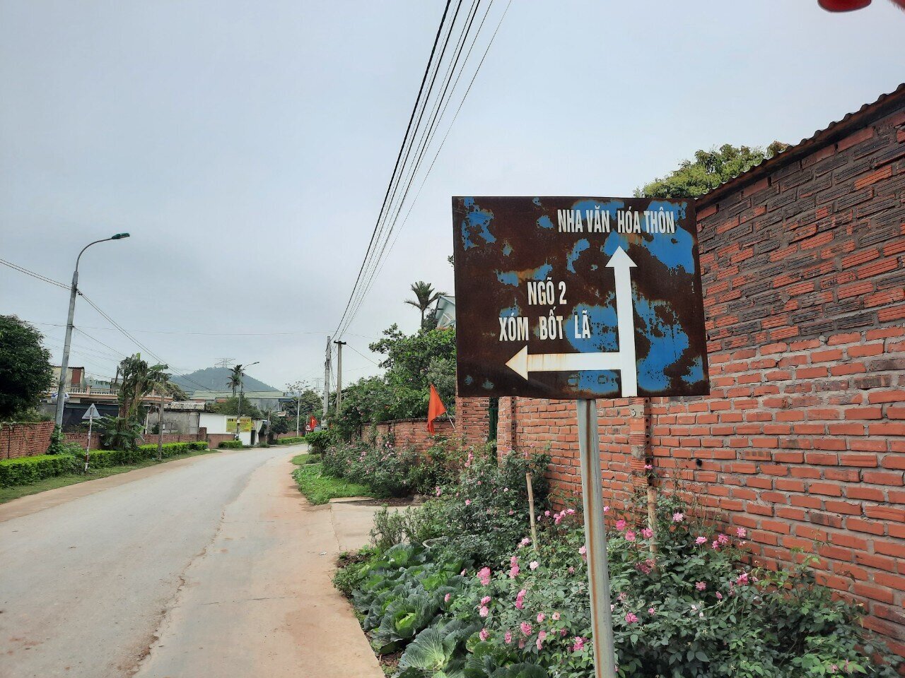 "Thời gian tới, chính quyền xã Anh Sinh sẽ nghiên cứu và vận động bà con tiếp tục trồng thêm một số loài cây vừa tạo bóng mát vừa cho ra hoa, làm đẹp cho các tuyến đường", ông Thắng cho hay.