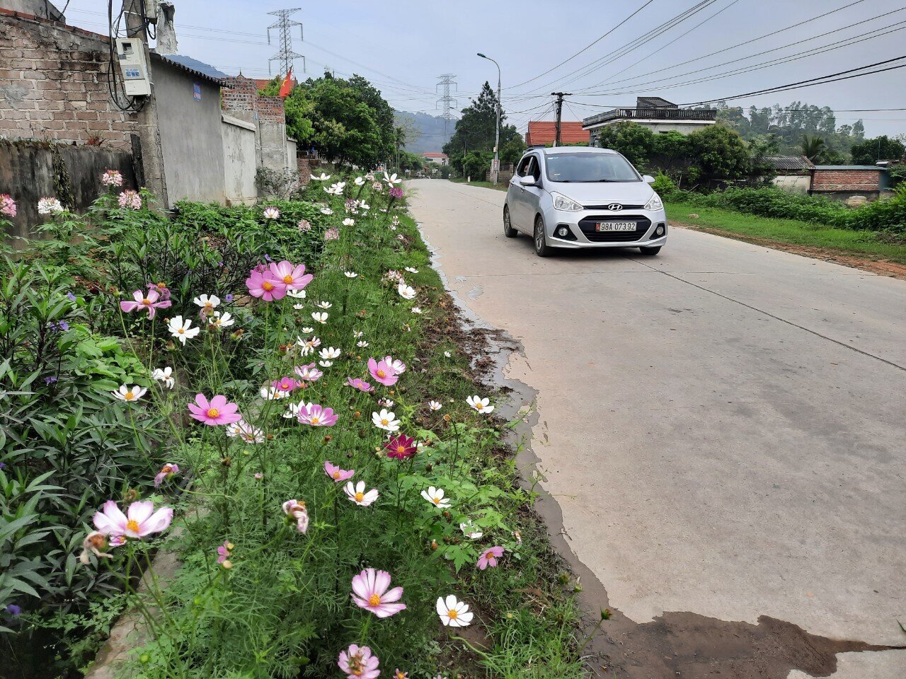 Dọc tuyến đường từ trung tâm TX Đông Triều qua xã Bình Khê, Trang Lương, Anh Sinh… có thể gặp được những tuyến đường hoa đa sắc tạo diện mạo mới "sáng - xanh - sạch - đẹp" cho vùng nông thôn nơi đây.