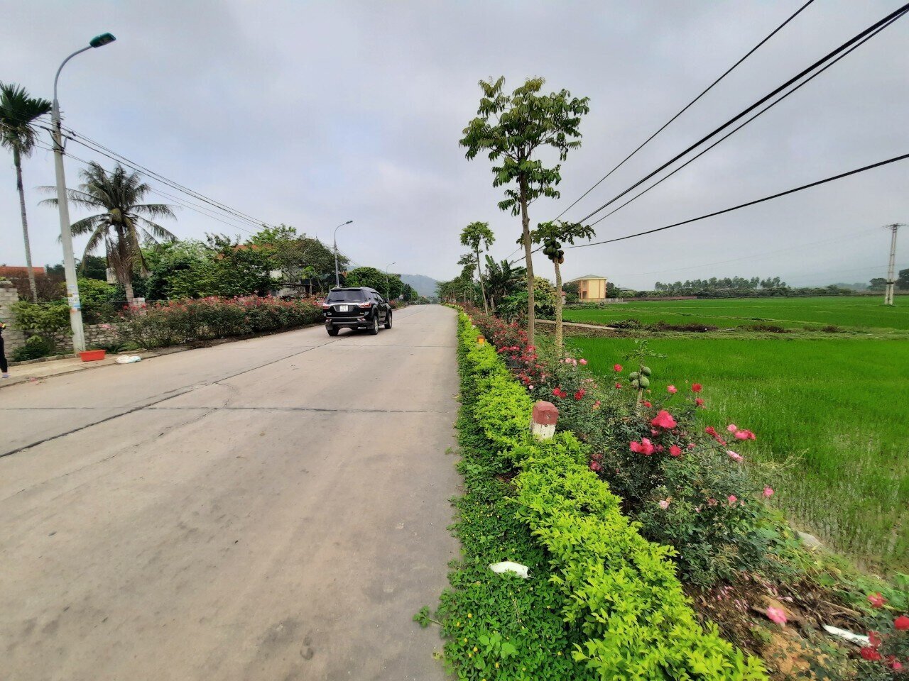 Chạy xe trên những tuyến đường nông thôn phẳng lì ở TX Đông Triều, ngắm nhìn những hàng rào cây cảnh xanh mát, những khóm hoa sặc sỡ ven đường, người tham gia giao thông đều cảm thấy thư thái.