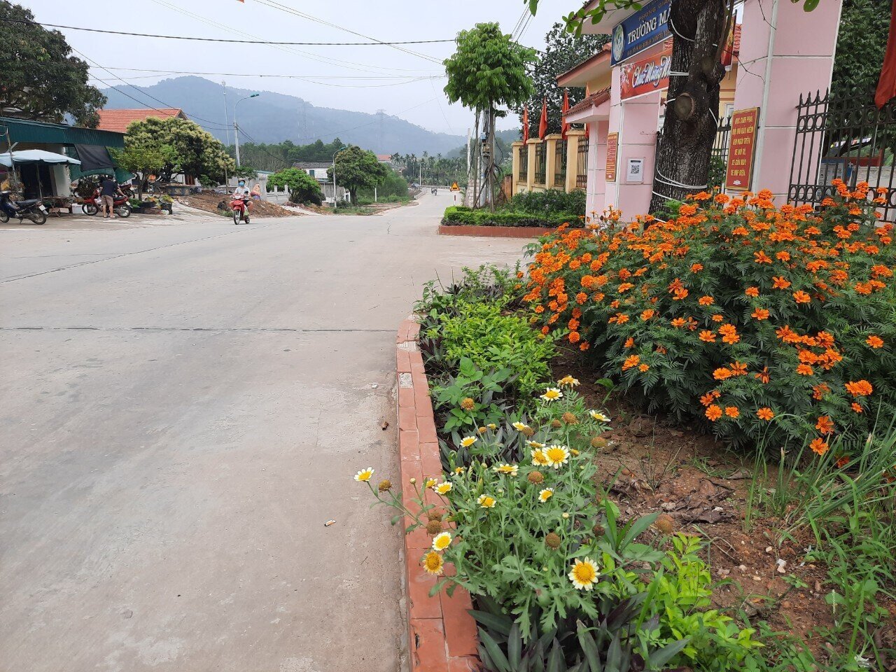 Anh Phạm Văn Phương, một tài xế chở hàng từ TP Uông Bí vào khu vực xã Bình Khê, TX Đông Triều tiêu thụ nhận xét: Trên những chặng đường mệt mỏi, được ngắm những khóm hoa, cây cảnh đua sắc ven đường, cảm thấy nhẹ nhõm, vơi bớt mệt nhọc trên chuyến hành trình.